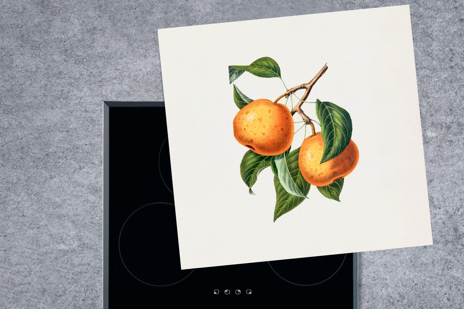(1 Orange für küche Arbeitsplatte 78x78 cm, - - Obst Herdblende-/Abdeckplatte Ceranfeldabdeckung, MuchoWow tlg), Jahrgang, Vinyl,