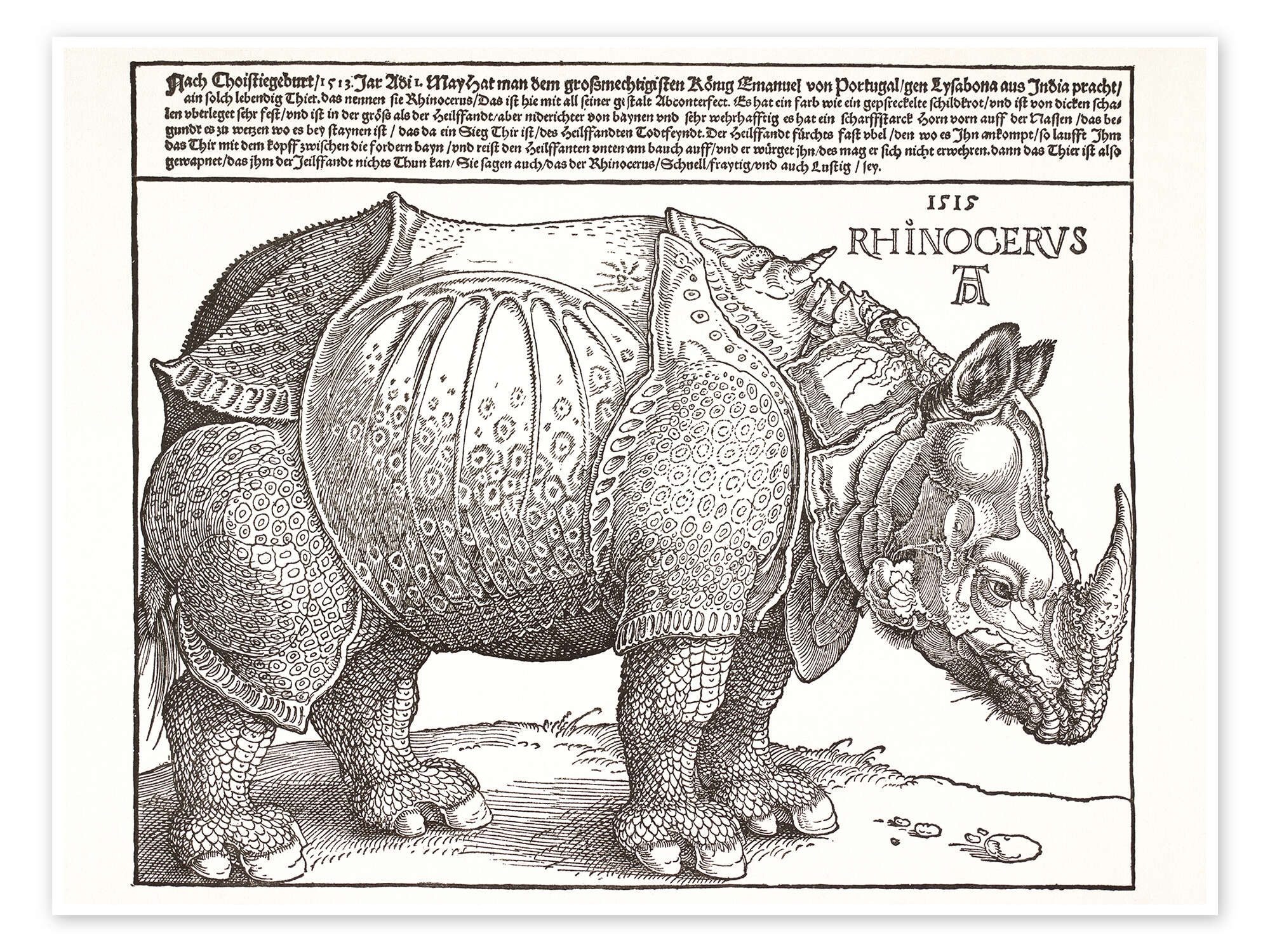 Poster Albrecht Dürer