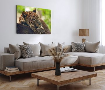 Sinus Art Leinwandbild 120x80cm Wandbild auf Leinwand Jaguar im Dschungel Tierfotografie Raub, (1 St)