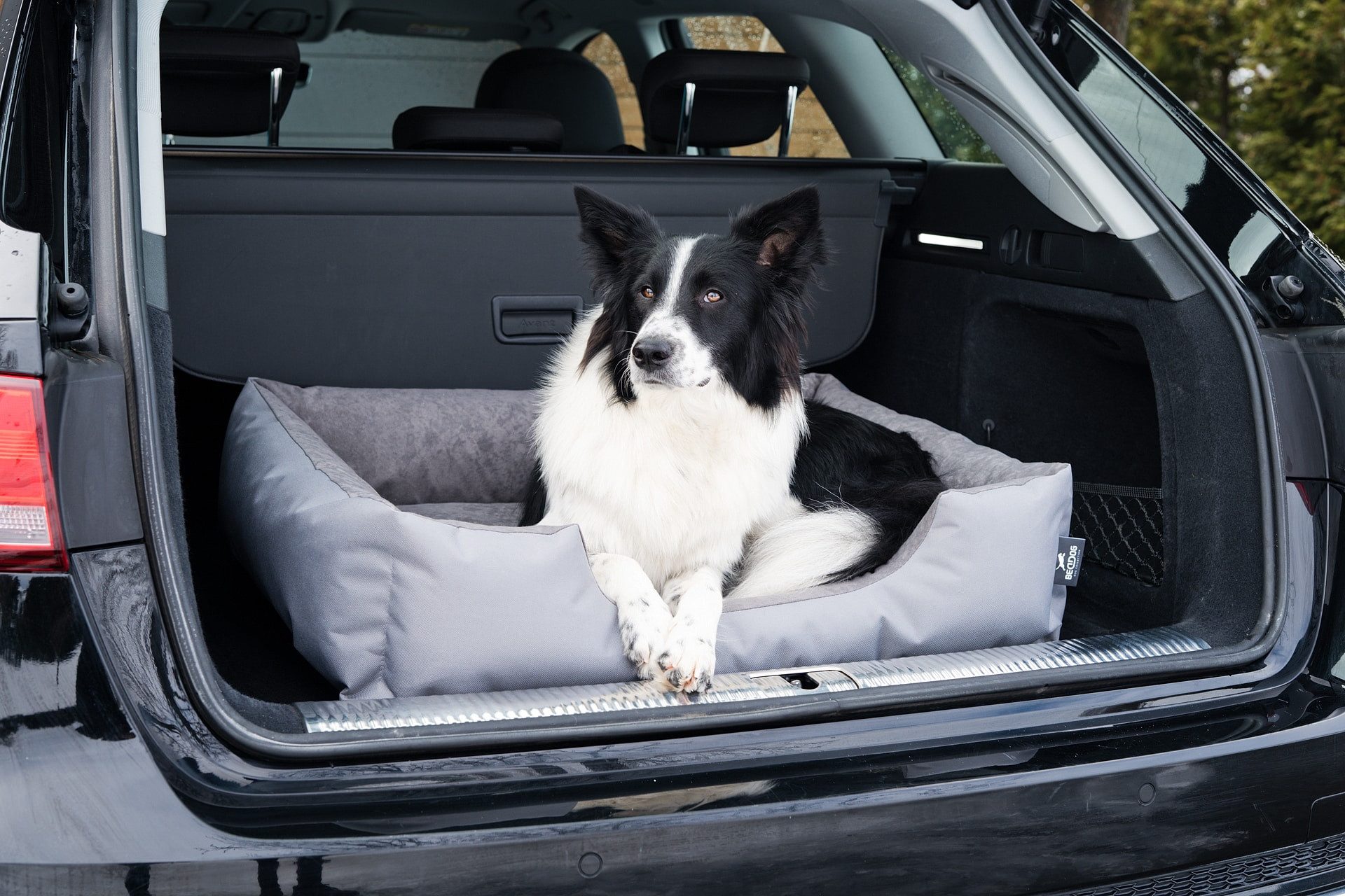 BedDog Tierbett Hundebett LUPI mit Rand, Bezug abnehmbar