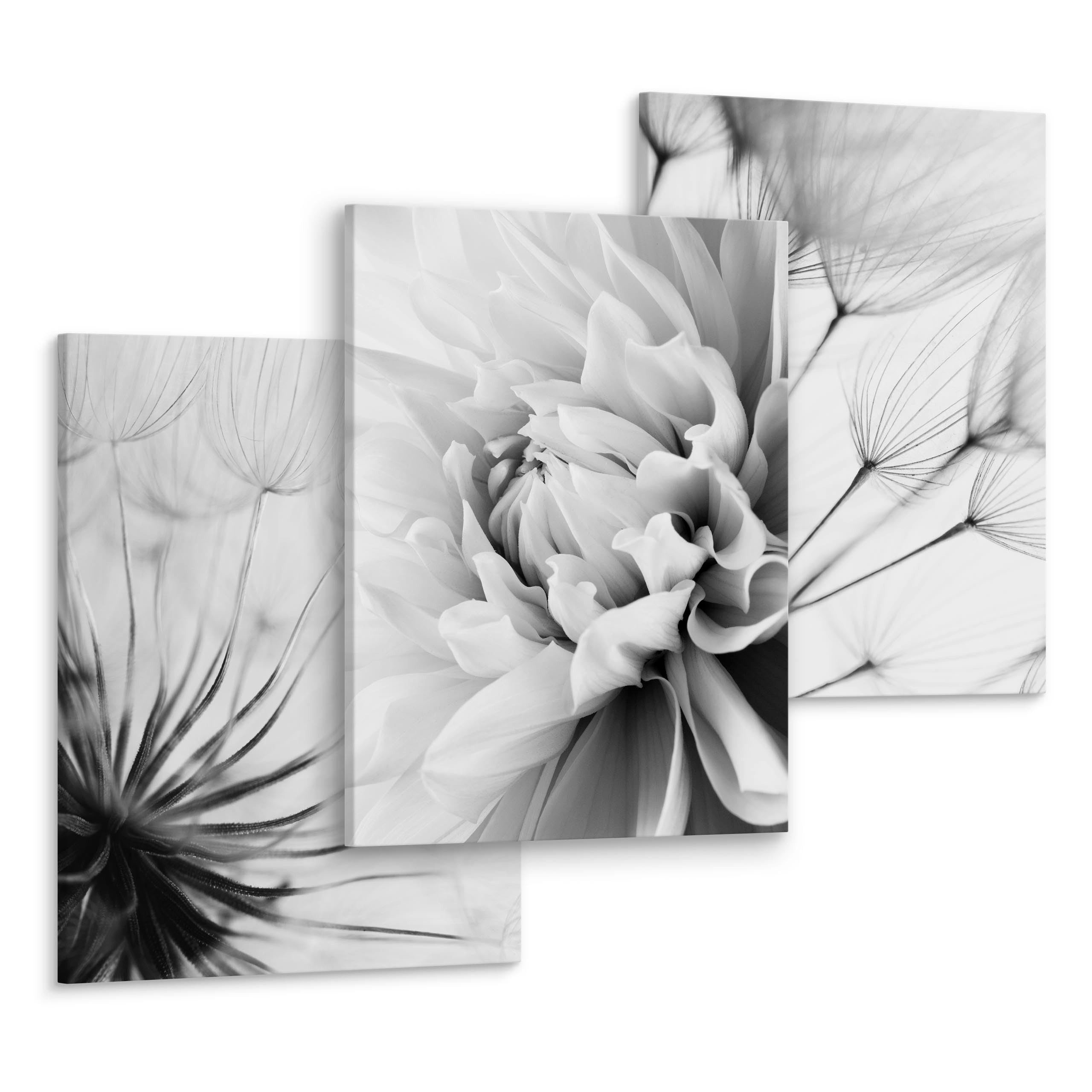 Muralo Mehrteilige Bilder Wandbilder 3er-Set Leinwand Natur – Leinwandbild mehrteilig Wohnzimmer, Natur (Set, 3 St), 3x 30x40 cm – Graue Blumen, aufhängefertig, Holzrahmen