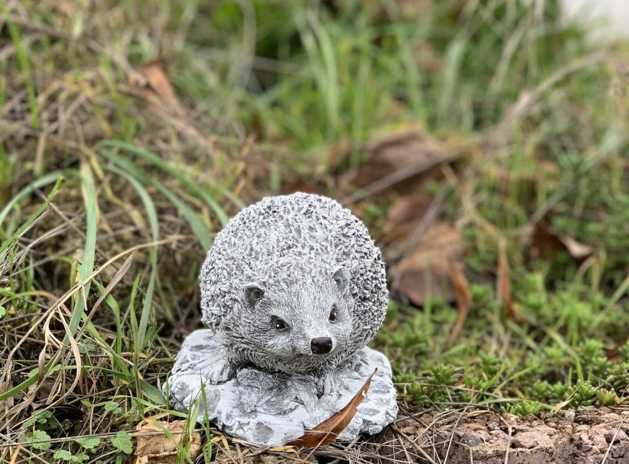 Stone and Style Gartenfigur Frostfeste Steinfigur kleiner Igel Little Ferdi – Bild 4 von 5