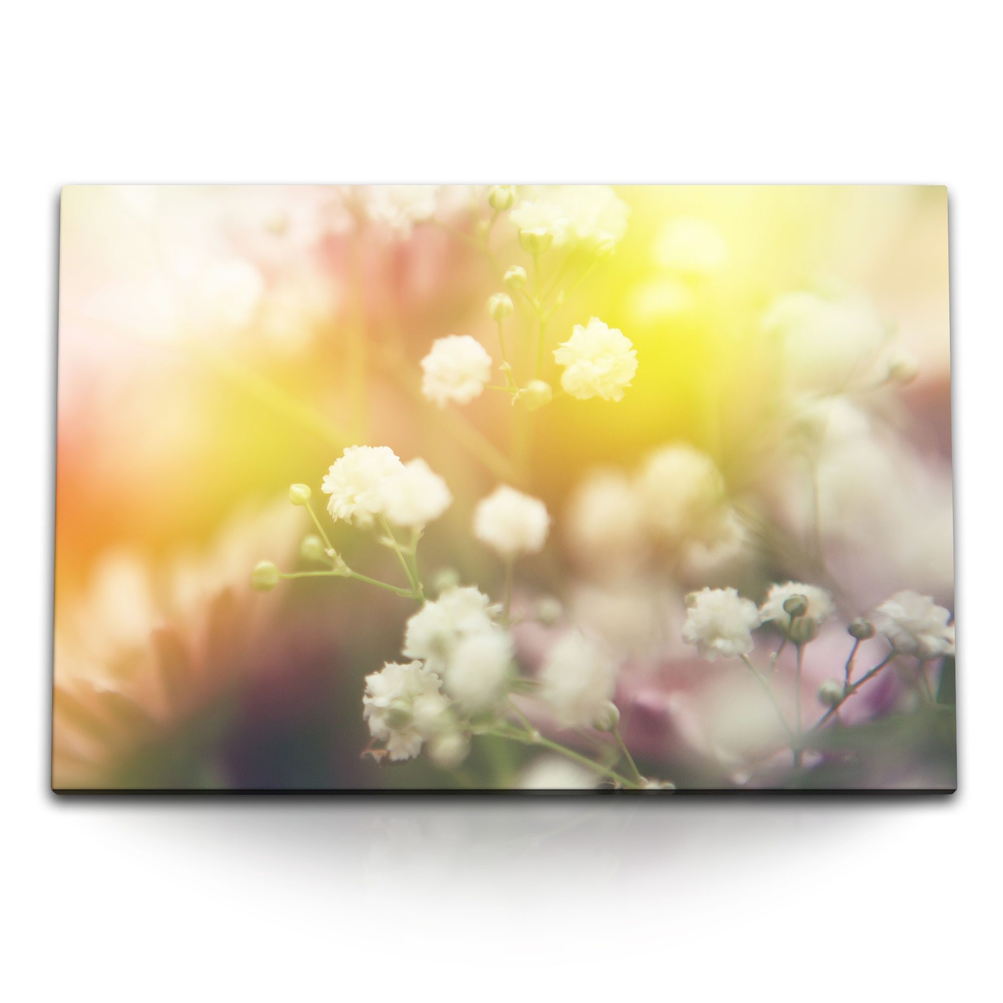 Sinus Art Leinwandbild 120x80cm Wandbild auf Leinwand Weiße Blumen Natur Sommer Kunstvoll Son, (1 St)