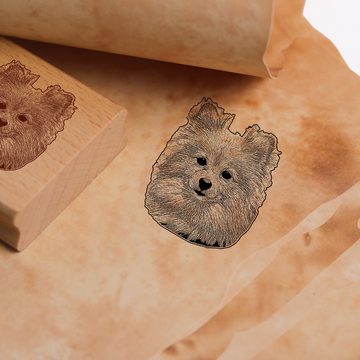 Dekolando Stempel Motivstempel Kleinspitz Stempel Hund Holzstempel 43 x 48 mm