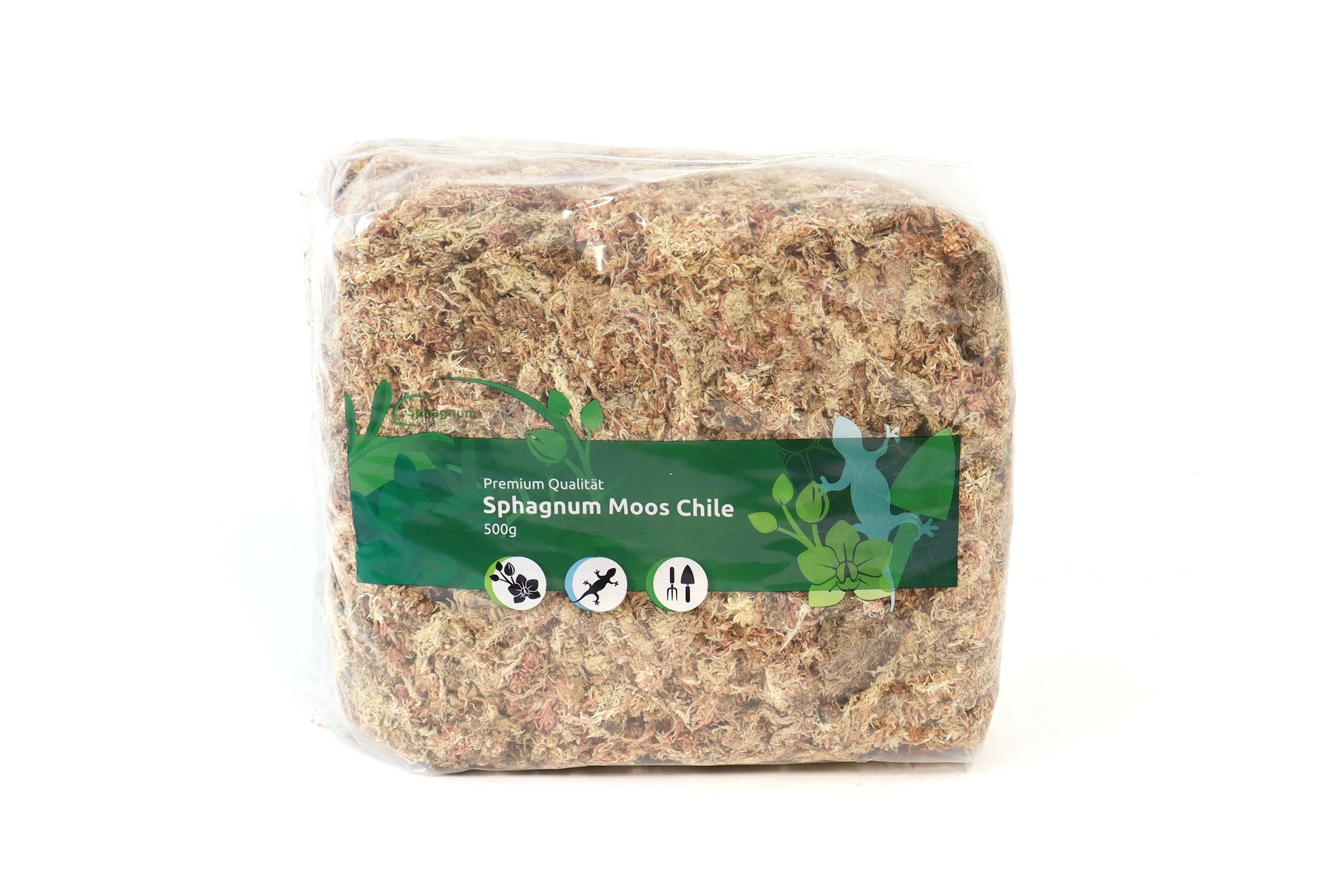 sphagnum-shop.com Terrarien-Substrat Sphagnum Moos aus Chile für Terrarium und Orchideen, Chilenische Premium-Qualität, Ideal für Pflanzenpflege & Terraristik