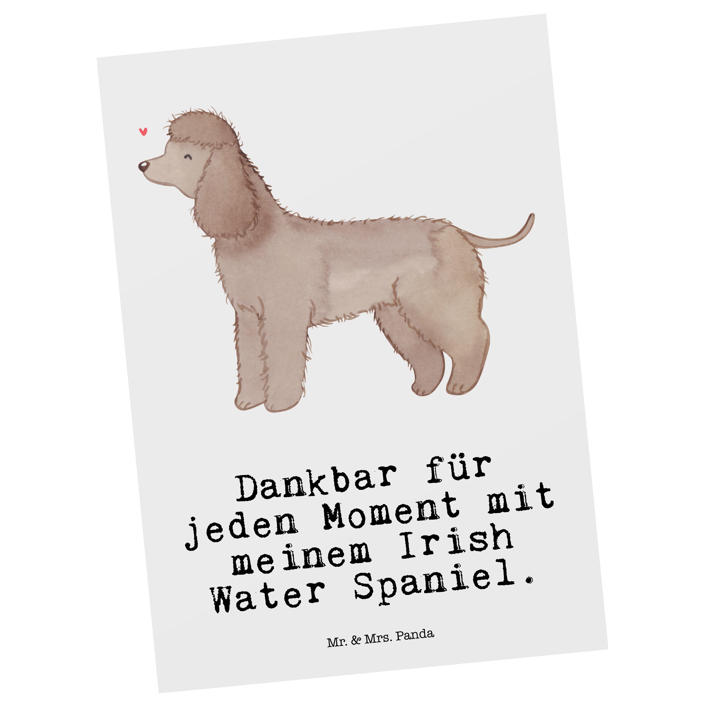 Mr. & Mrs. Panda Postkarte Irish Water Spaniel Moment - Weiß - Geschenk, Einladung, Jagdhund, Ge
