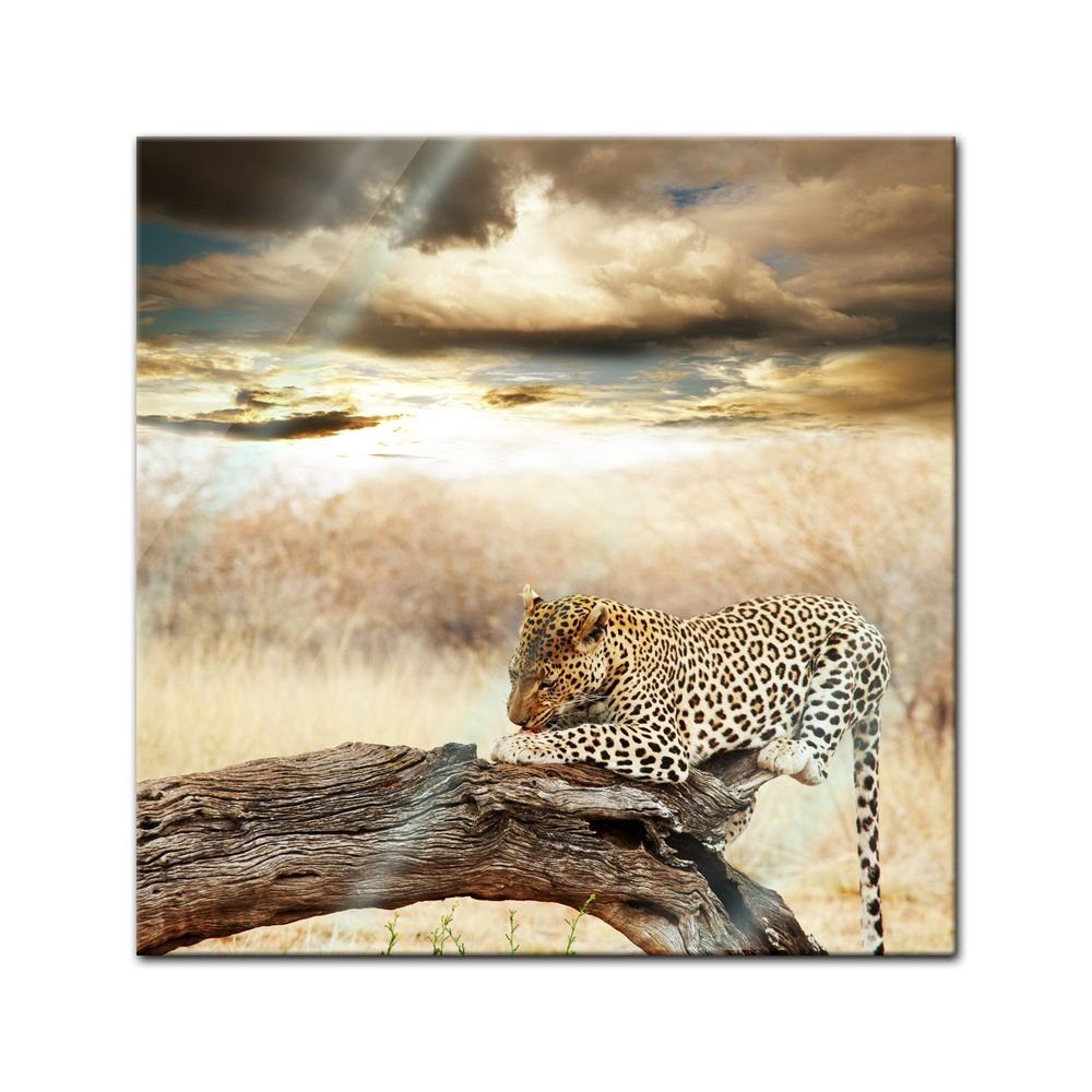 Bilderdepot24 Glasbild, Glasbild - Leopard II | OTTO