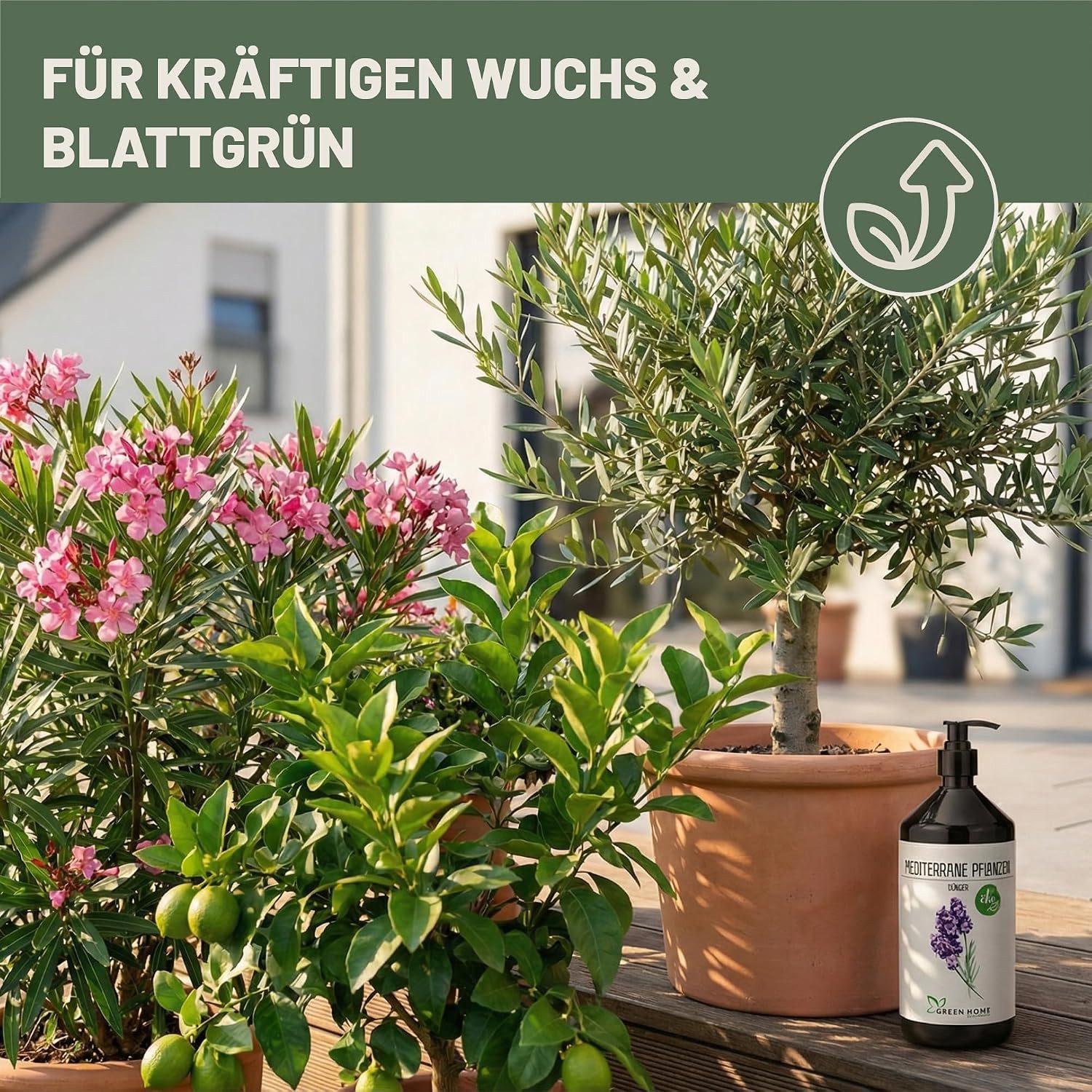 GREEN HOME LOVE NATURE Pflanzendünger Flüssigdünger NPK 7+3+5 für mediterrane Pflanzen, Oliven & Zitrus, Mediterrane Pflanzen, NPK 7+3+5, Spurennährstoffe, chelatiert, Dosierpumpe
