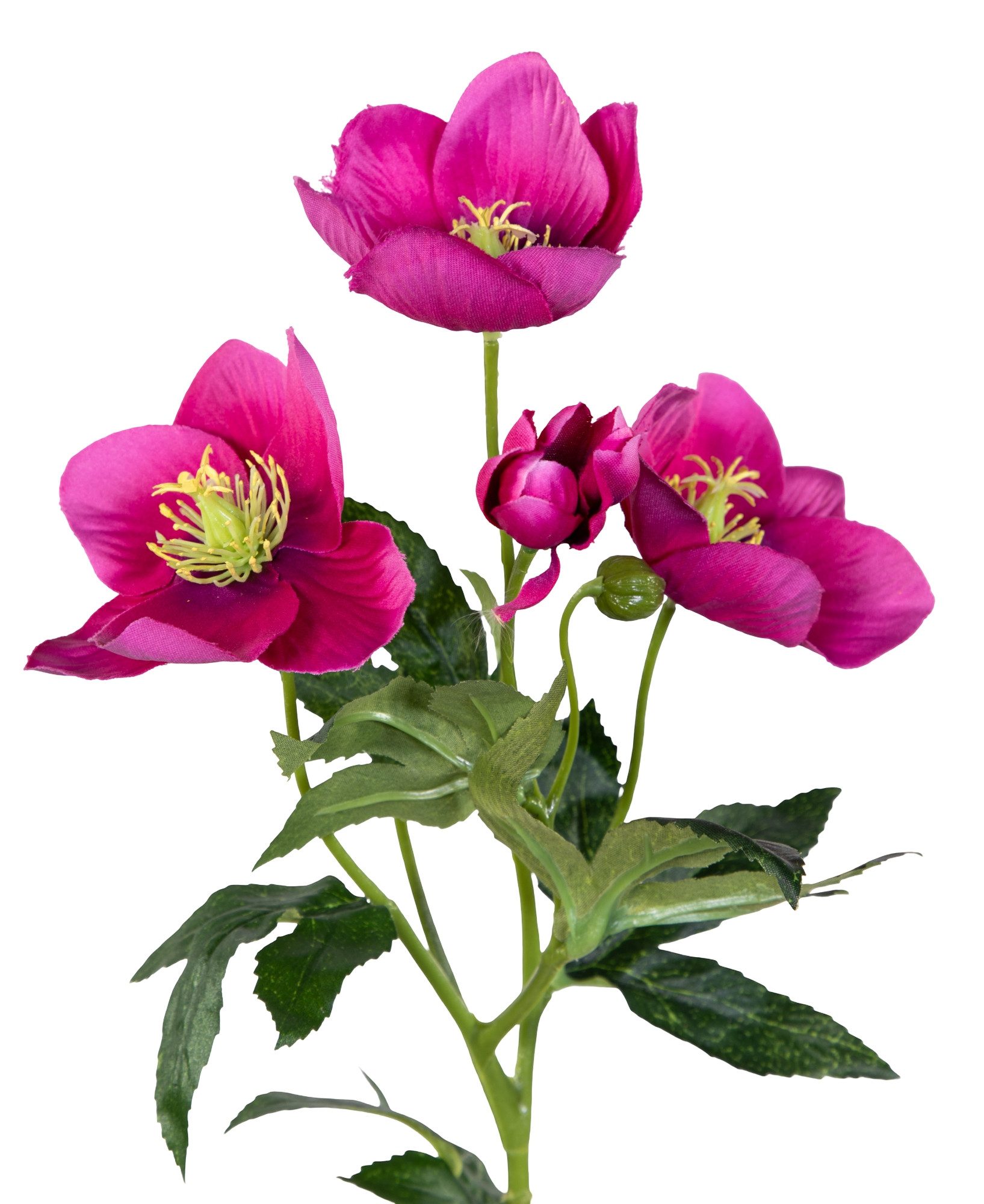 Kunstblume Christrose 62cm PM Dekoblumen künstliche Christrose Blumen Helleborus, Seidenblumen Roß, Höhe 62 cm, Farbe: Rosa-Pink