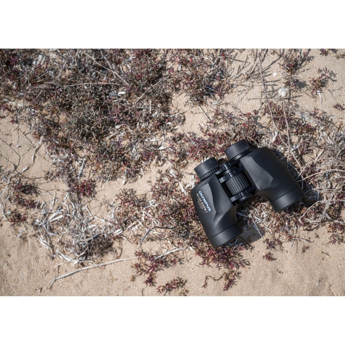 Olympus 8x42 EXPS I Fernglas