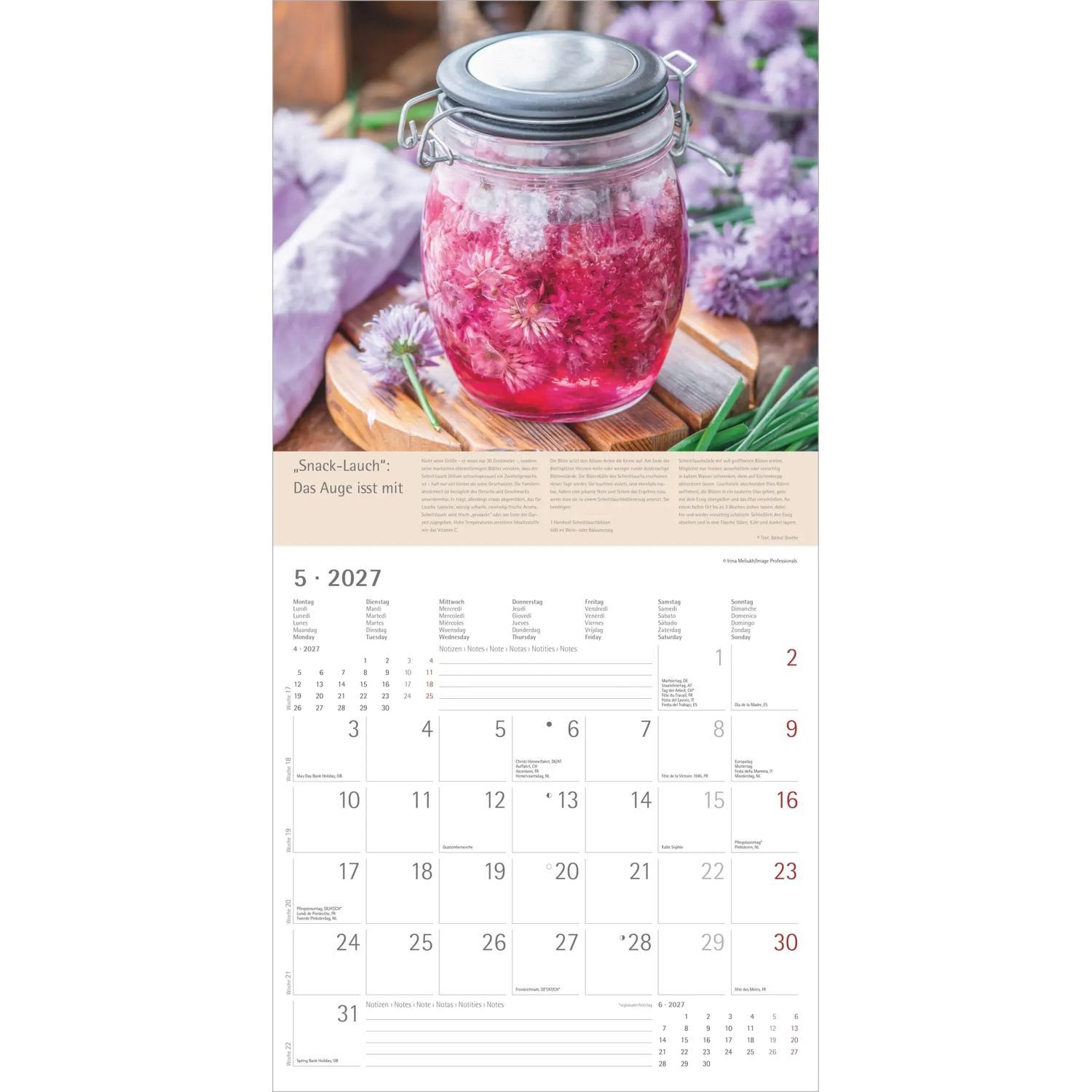Wandkalender Kräuter und Gewürze 2027 – Bild 4 von 5