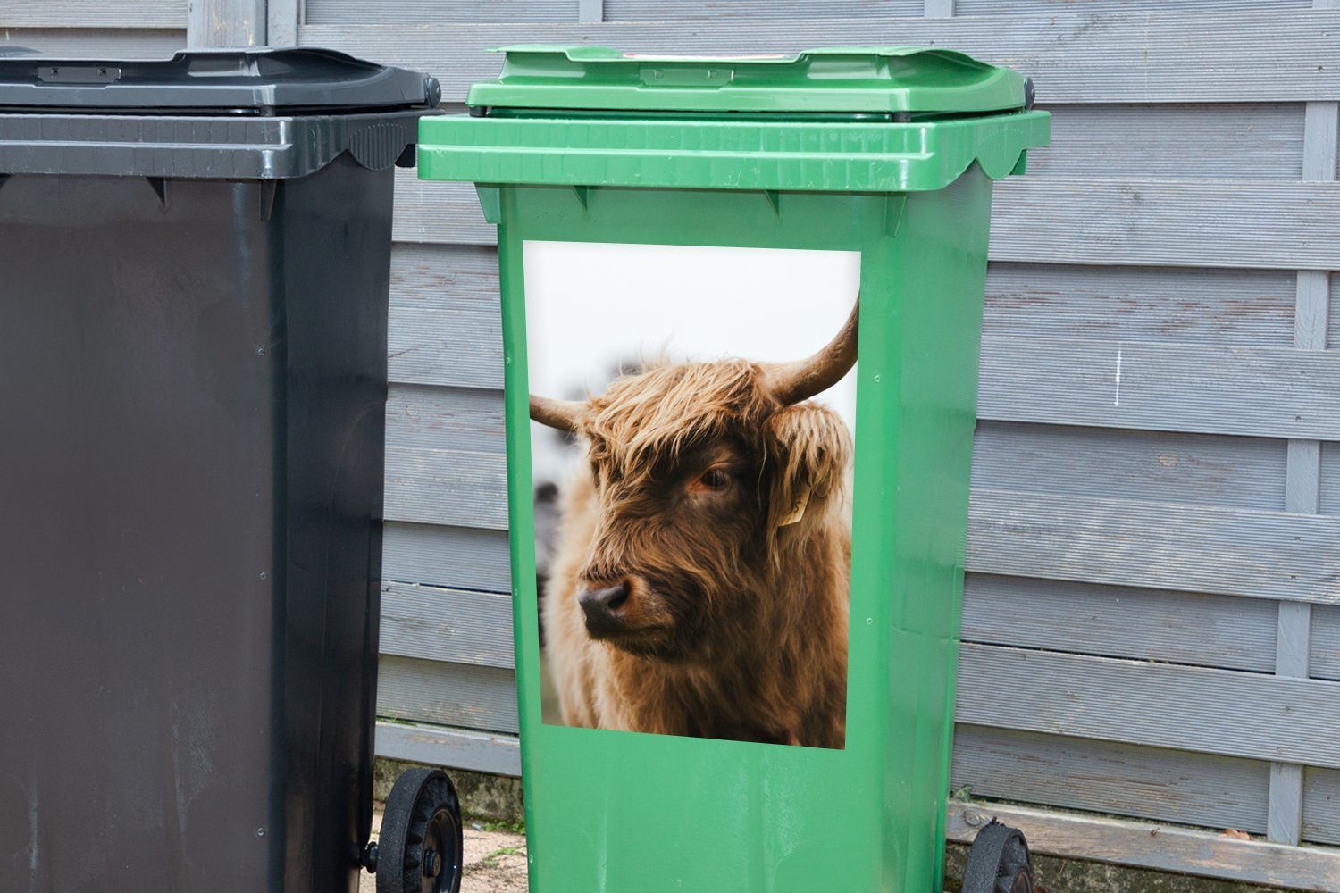Sticker, Schottischer Tiere - Highlander - Container, (1 Mülleimer-aufkleber, Abfalbehälter Hörner MuchoWow Wandsticker St), Mülltonne,