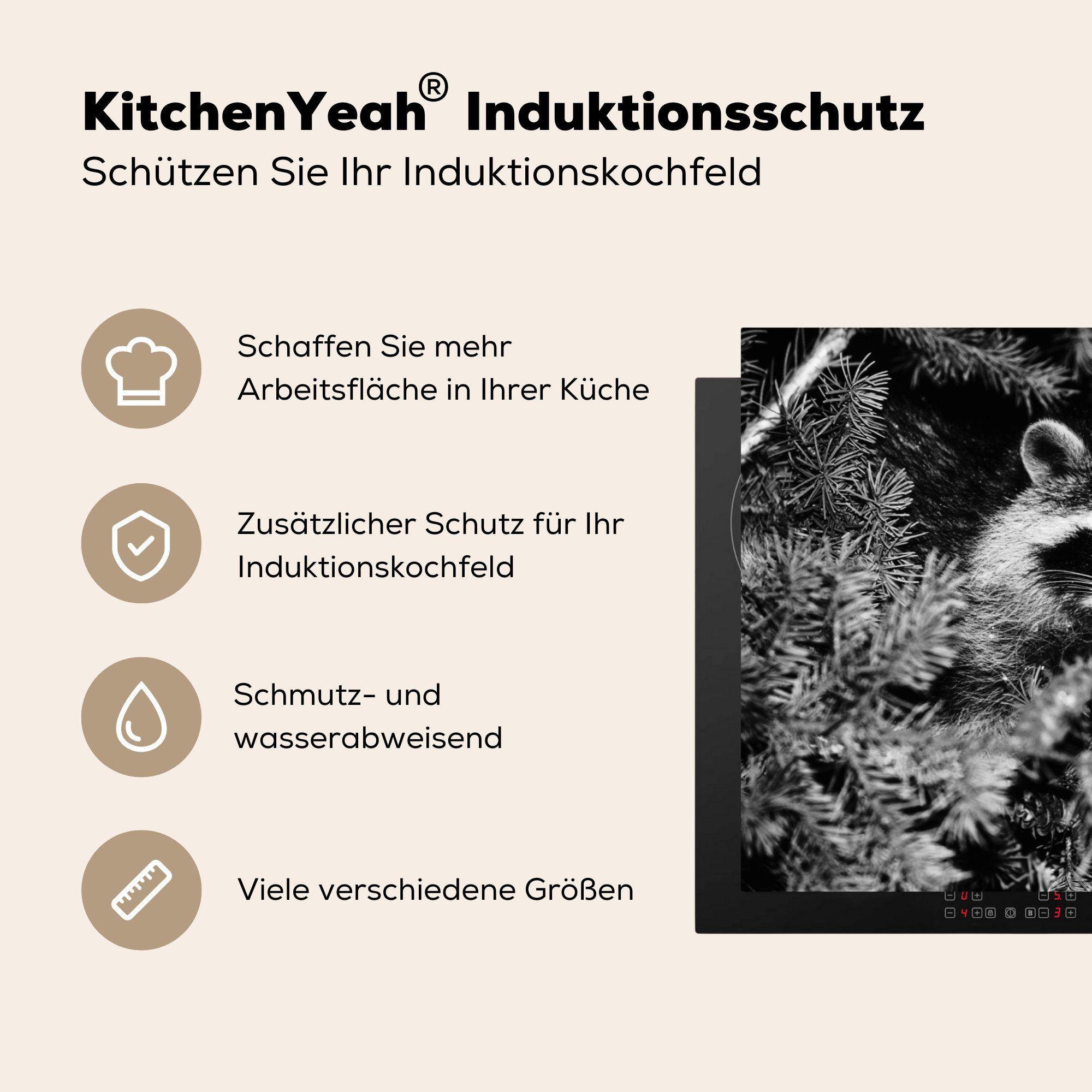 Vinyl, tlg), Waschbär einer Herdblende-/Abdeckplatte Ceranfeldabdeckung in für Schutz (1 Kiefer, cm, die MuchoWow küche, Induktionskochfeld 81x52