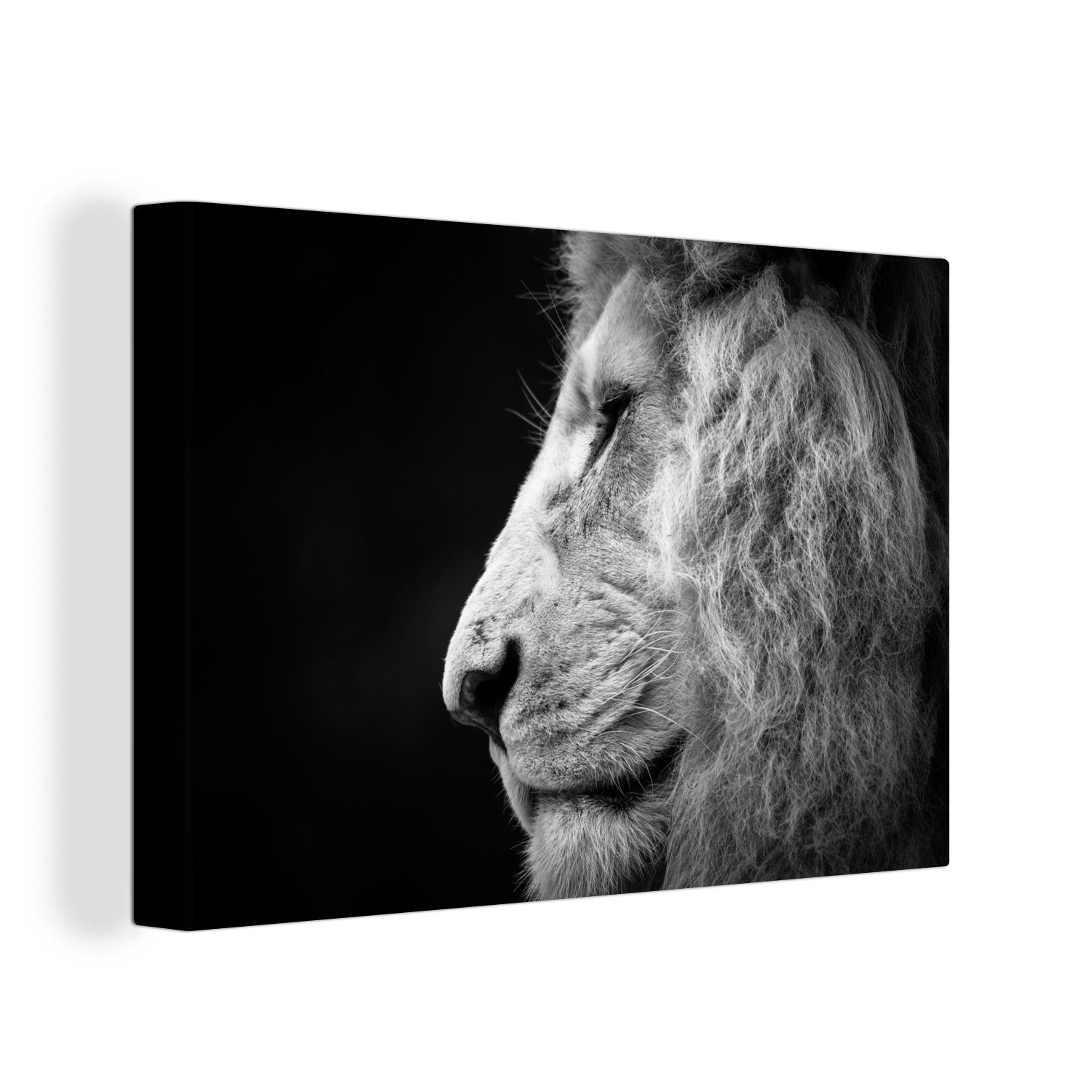 OneMillionCanvasses® Leinwandbild Profil - Wandbild Löwe cm 30x20 St), Wanddeko, - Leinwandbilder, Aufhängefertig, (1 Porträt