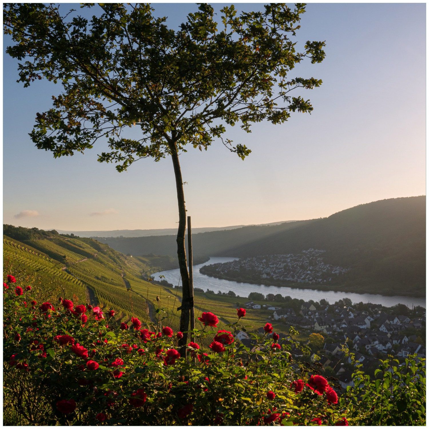 Wallario Möbelfolie Fluss im Abendlicht