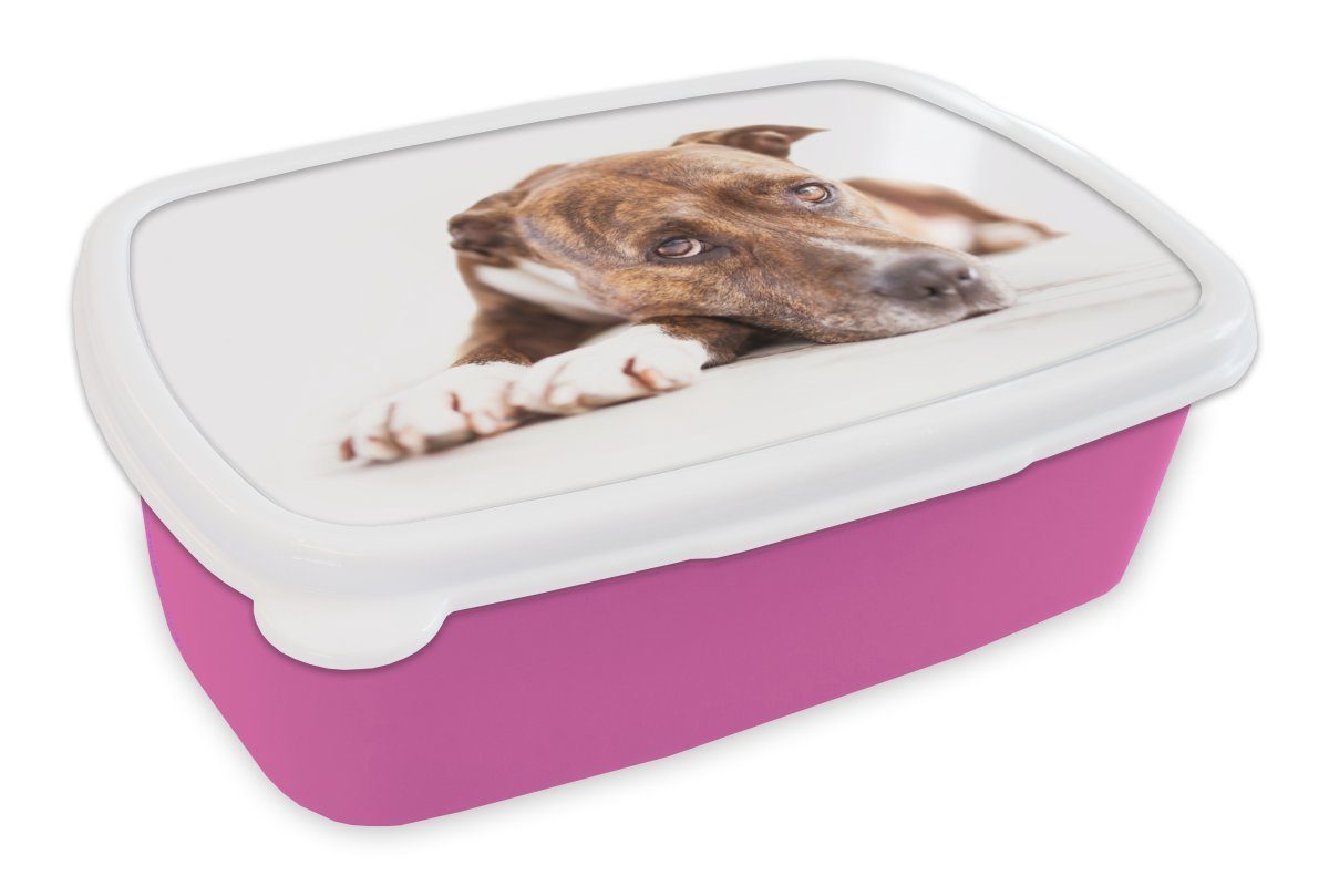 MuchoWow Lunchbox Liegender Hund Fotodruck, Kunststoff, (2-tlg), Brotbox für Erwachsene, Brotdose Kinder, Snackbox, Mädchen, Kunststoff rosa