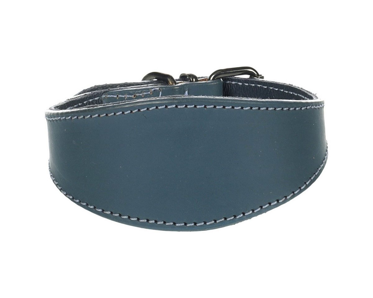 Thumbnail - Flamingo Hunde-Halsband Halsband Windhund Denver blau