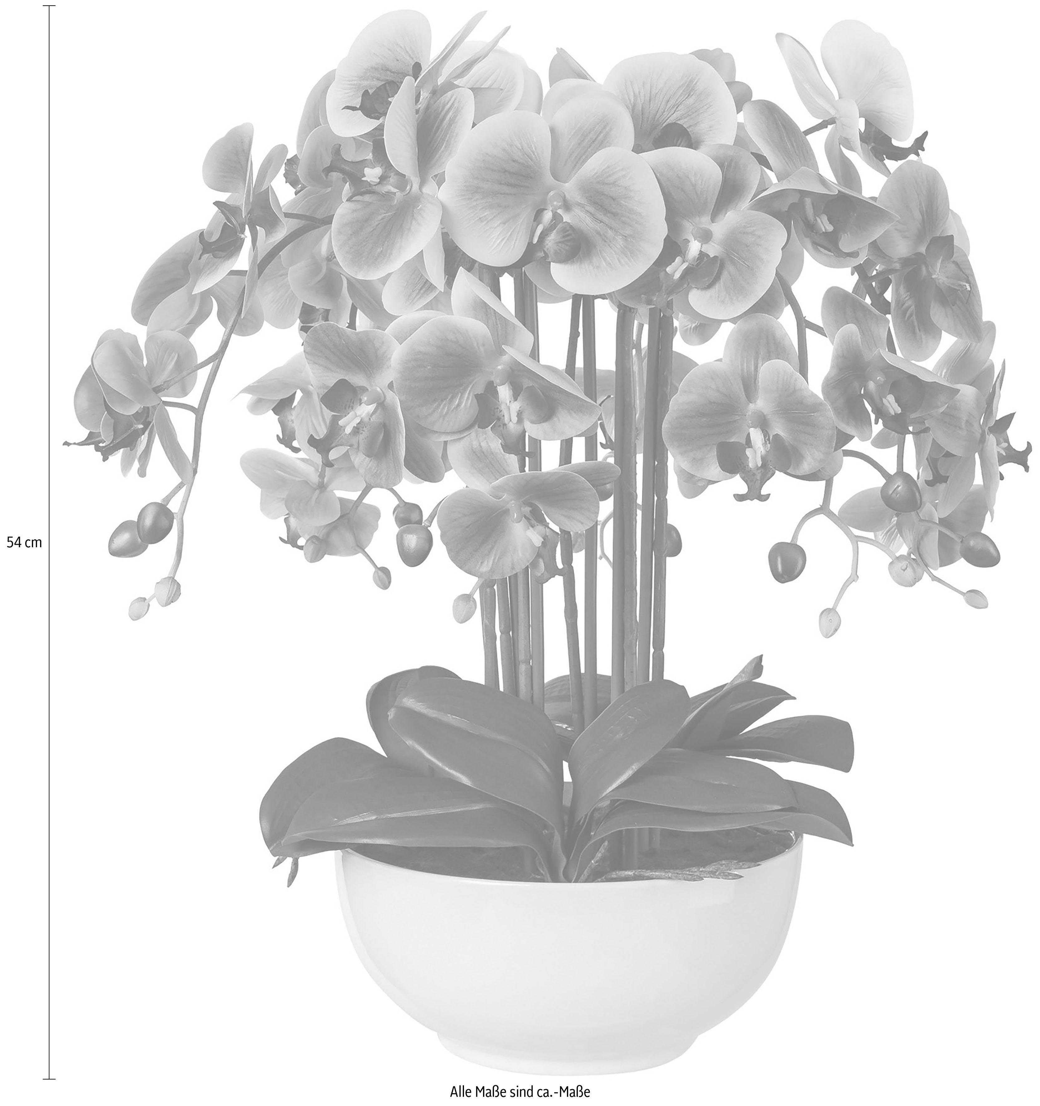 Kunstpflanze Orchidee, Creativ green, Höhe 54 günstig online kaufen