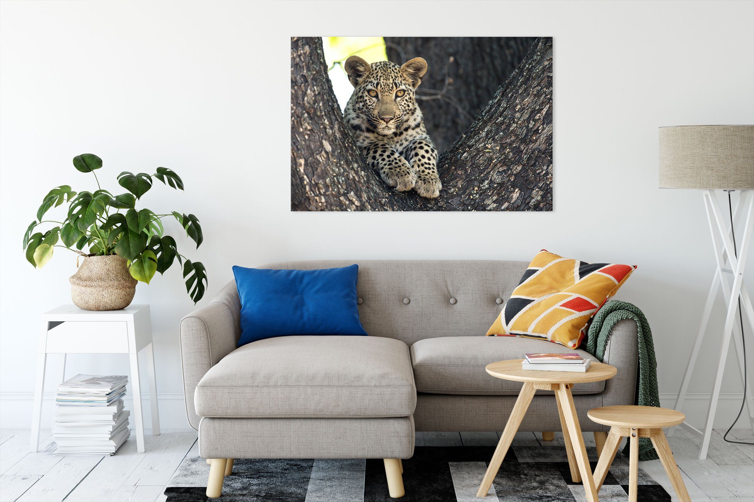 Leopardenbaby bespannt, Leinwandbild Zackenaufhänger fertig Leopardenbaby, inkl. (1 Pixxprint St), Leinwandbild