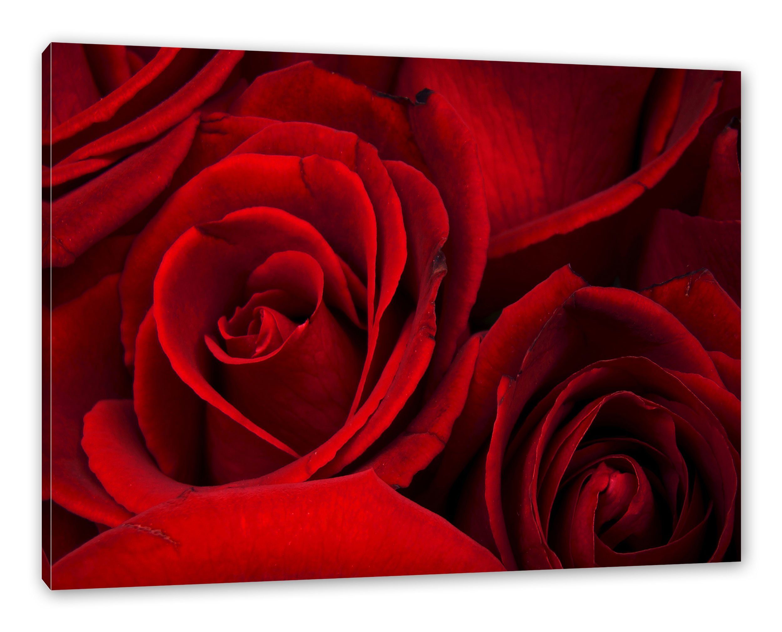 Pixxprint Leinwandbild rote Rosen, rote Rosen (1 St), Leinwandbild fertig bespannt, inkl. Zackenaufhänger