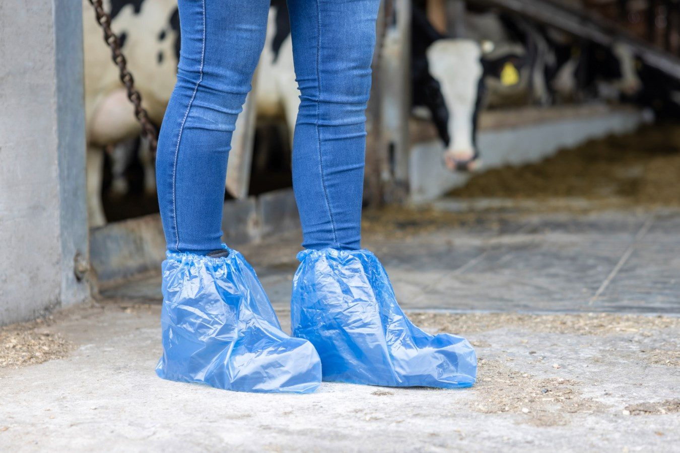 Kerbl Schuhüberzieher Einmalüberschuhe mit Gummizug halbhoch, 400 x 290 mm blau transparent (Stück, 100) sicheren Sitz