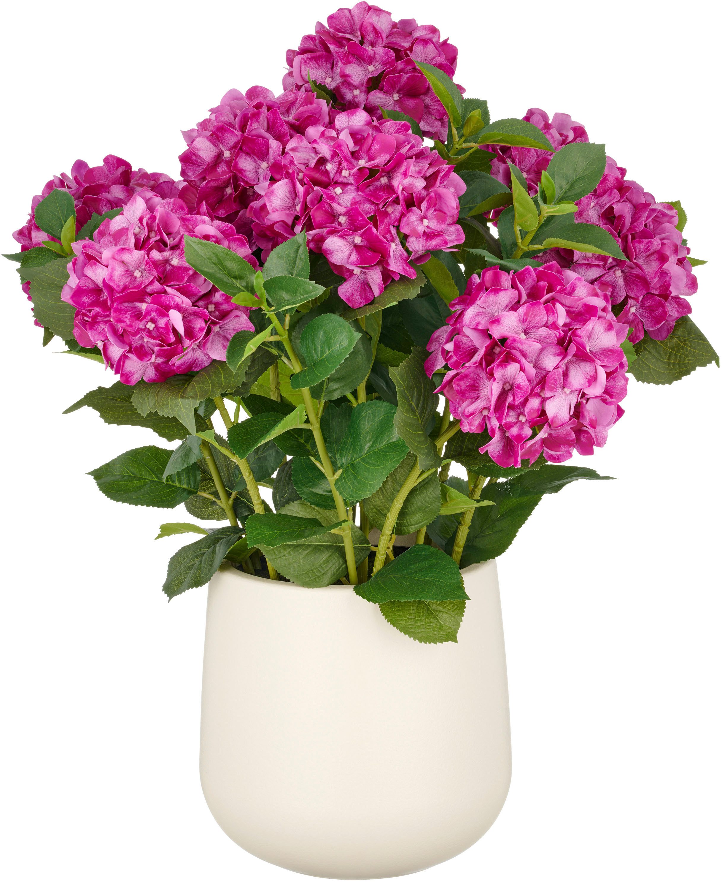 Kunstpflanze Hortensie, Creativ green, Höhe 70 günstig online kaufen