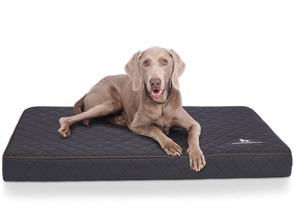 Knuffelwuff Hundematte Juna, Orthopädisch günstig online kaufen