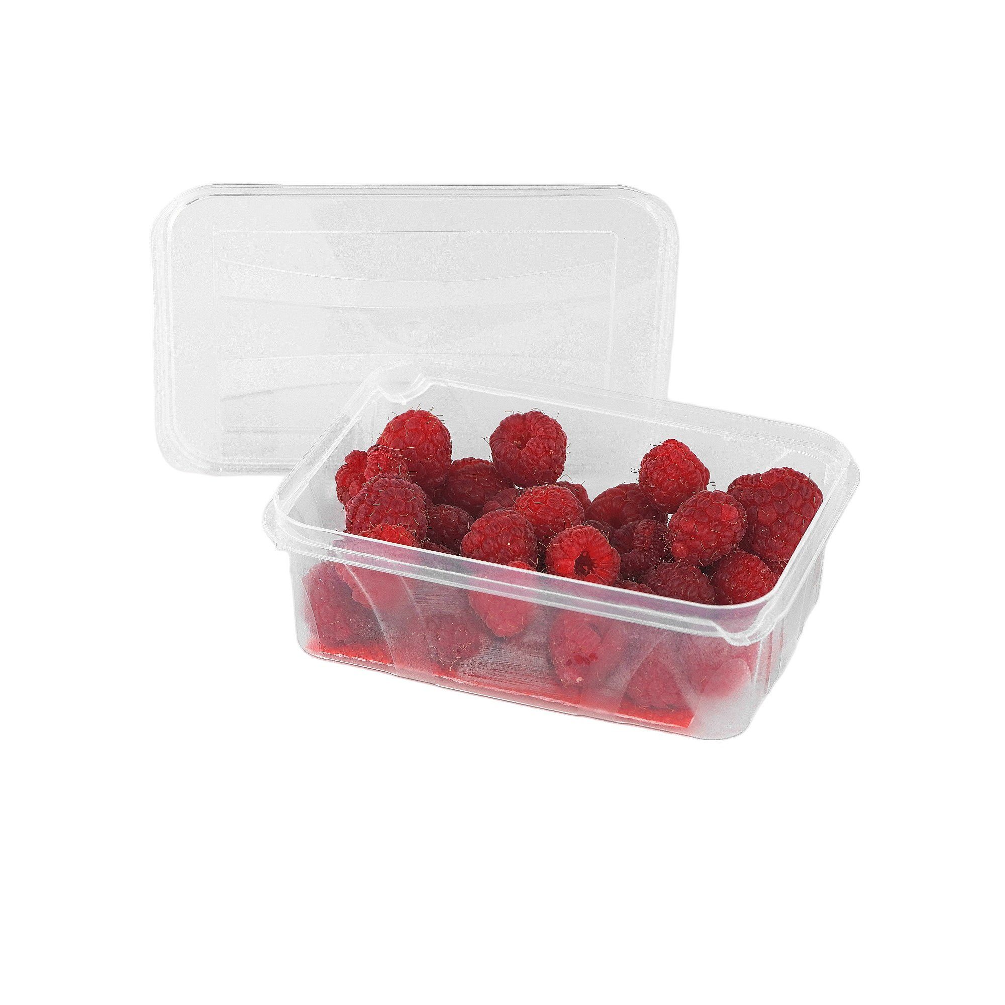 Logiplast Aufbewahrungsbox 10 Stück Aufbewahrungsboxen - 0,4L Volumen (Spar-Set, 10 Stück), lebensmittelecht, als Gefrierdose geeignet, spülmaschinengeeignet