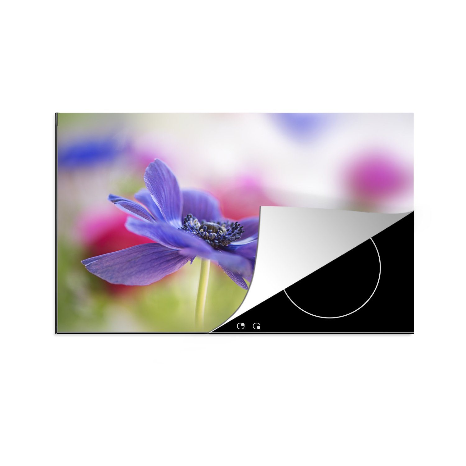 MuchoWow Herdblende-/Abdeckplatte Violette Anemone, cm, 81x52 Ceranfeldabdeckung küche, Induktionskochfeld (1 Schutz Vinyl, für tlg), die