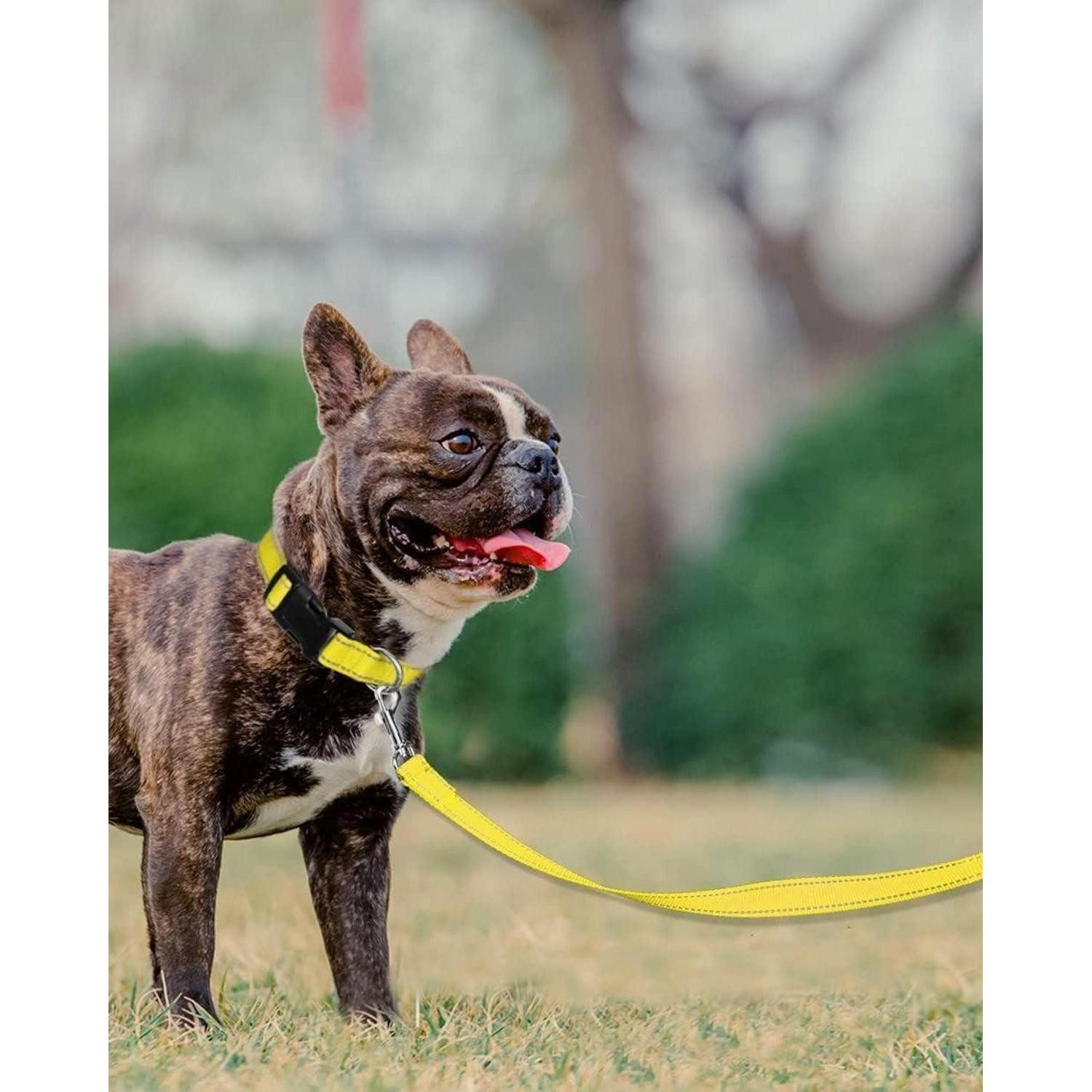 LuxusKollektion Hundeleine Hundeleine kleine Hunde reflektierend 1,5m 150x2.0 cm (1er Pack) Gelb