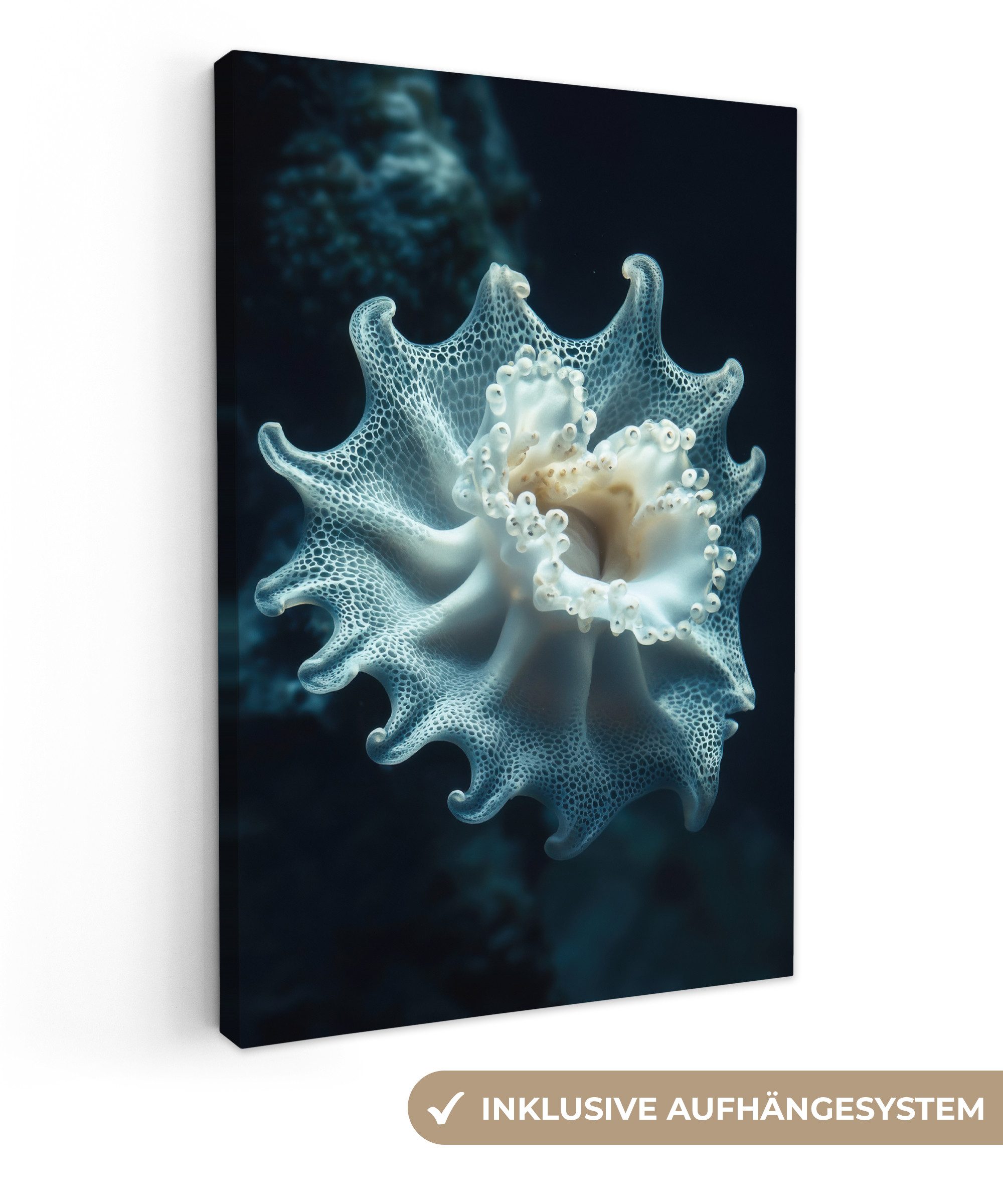 OneMillionCanvasses® Leinwandbild Meerestier - Weiß - günstig online kaufen