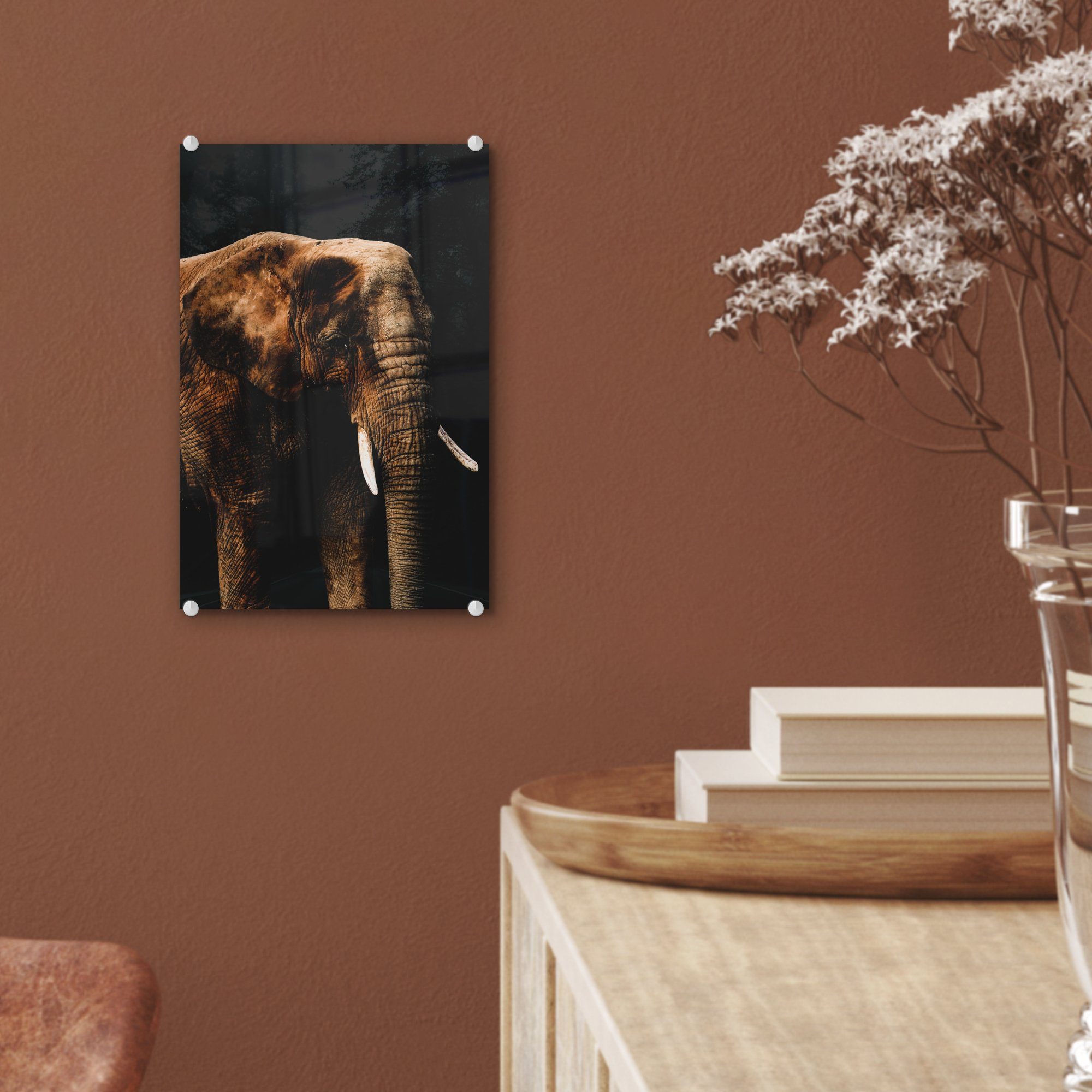 MuchoWow Acrylglasbild Farbe, Foto auf Glas - - Glasbilder Elefant - auf Schwarz bunt Wandbild - Glas Wanddekoration - Bilder St), (1