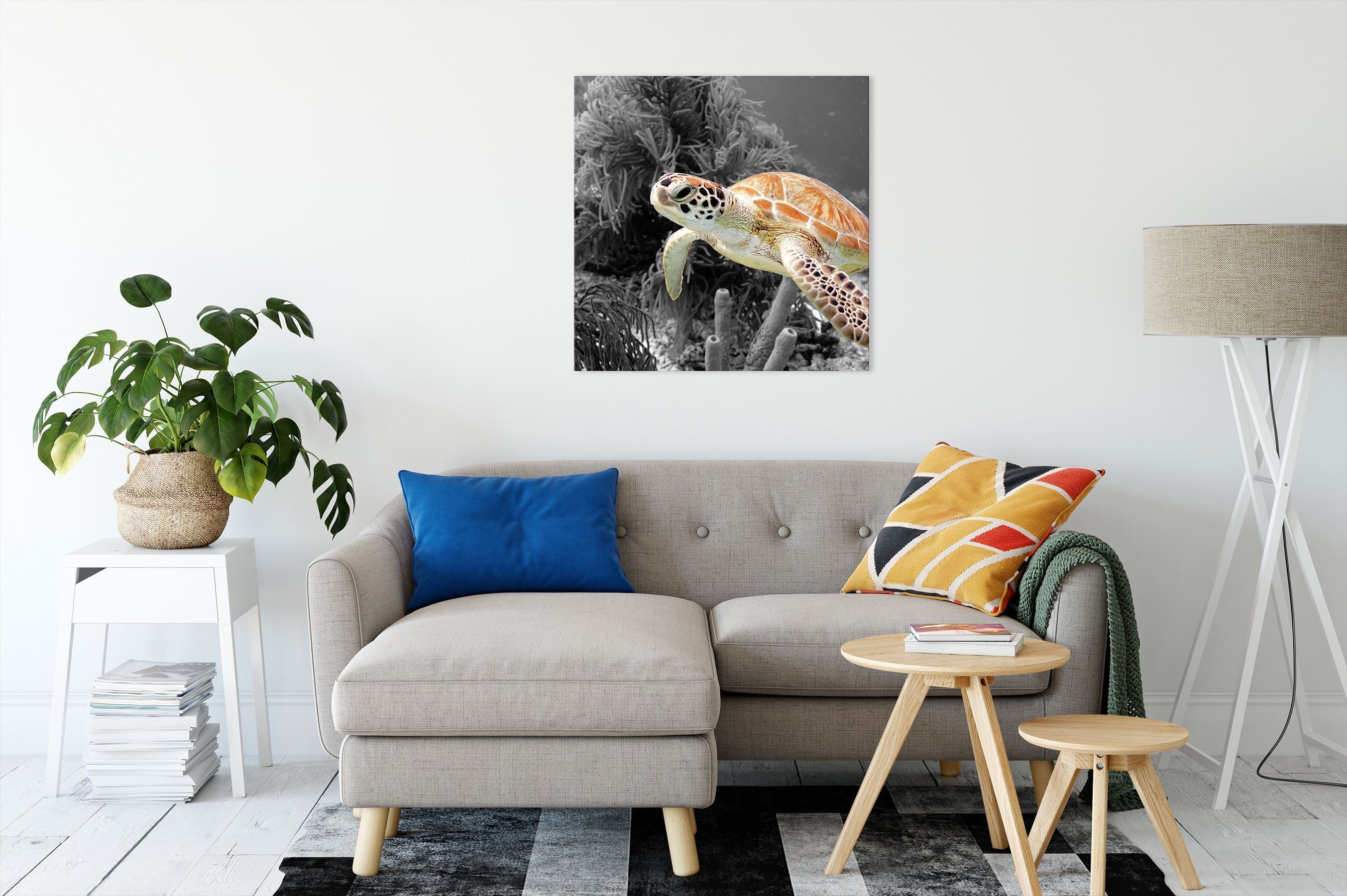 Leinwandbild (1 inkl. fertig St), Meeresschildkröte, Leinwandbild Meeresschildkröte wunderschöne Zackenaufhänger Pixxprint bespannt, wunderschöne