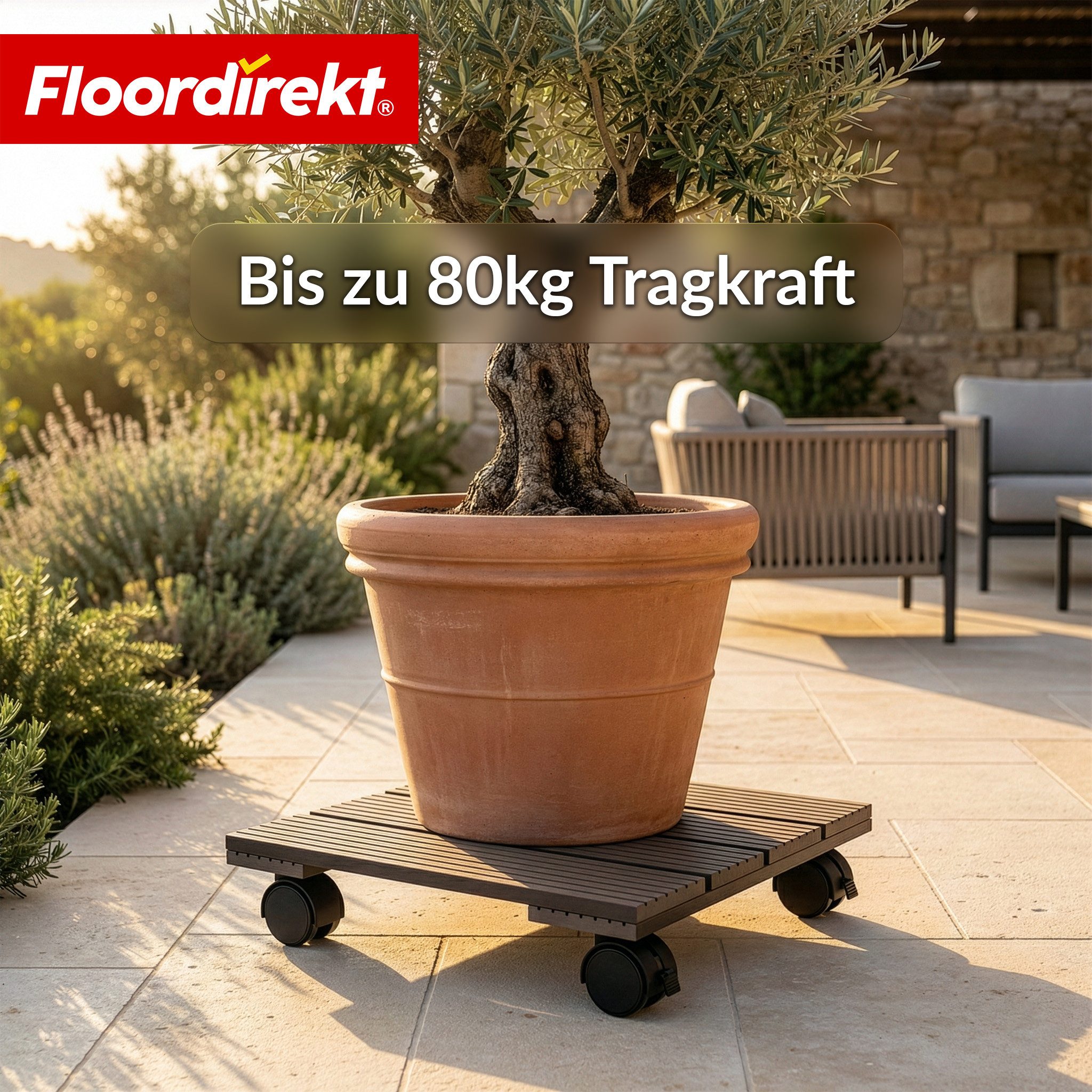 Floordirekt Pflanzenroller Marquis, eckig aus WPC 30x30 cm, mit Bremse, Rolluntersetzer bis 80 kg, (1-St), stabile 360 Grad Lenkrollen, ideal für Blumentöpfe &  – Bild 5 von 5