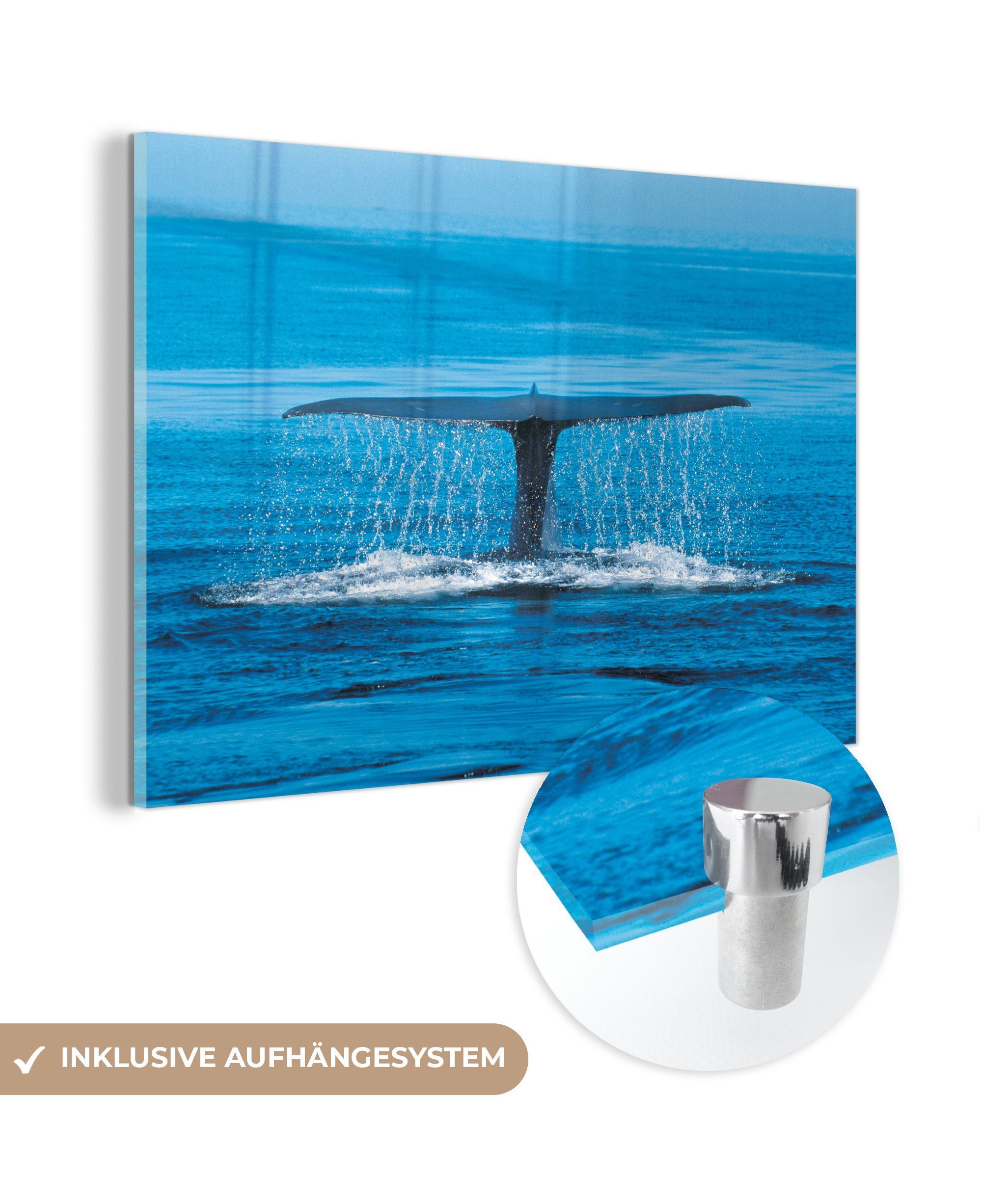 MuchoWow Acrylglasbild Blauwal - Schwanz eines Wals, (1 St), Acrylglasbilder Wohnzimmer & Schlafzimmer