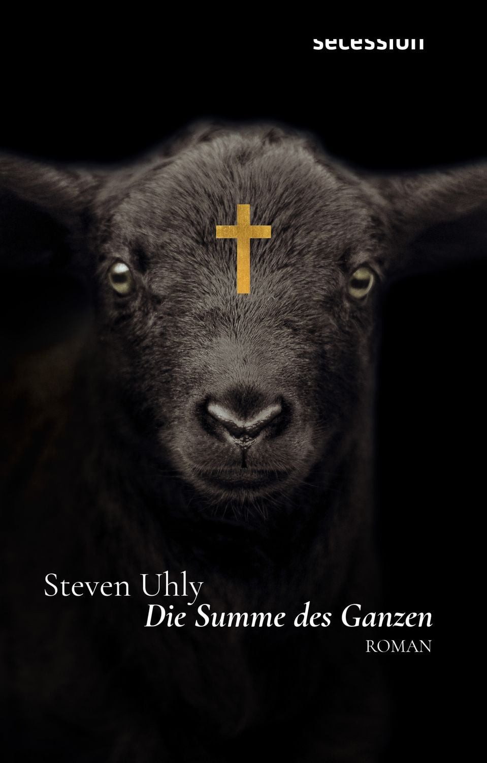 Jugendbuch Die Summe des Ganzen Steven Uhly