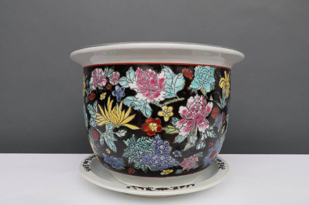 Yajutang Topfpflanze