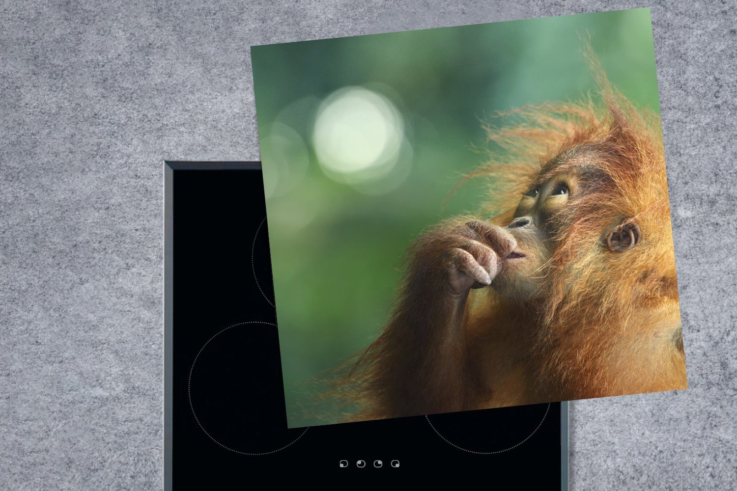 MuchoWow Herdblende-/Abdeckplatte Ein junger Orang-Utan einem verblassten cm, Vinyl, (1 vor Arbeitsplatte für tlg), 78x78 küche Hintergrund, Ceranfeldabdeckung