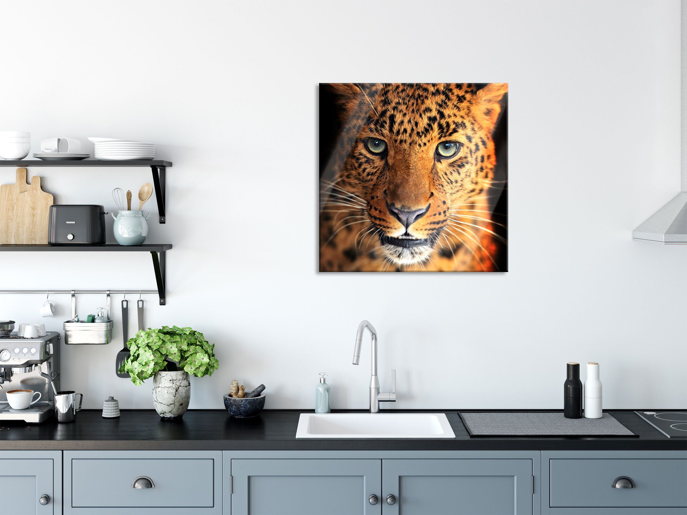 aus Glasbild St), (1 Pixxprint Glasbild Echtglas, und Aufhängungen inkl. Stolzer Abstandshalter Stolzer Leopard Leopard,