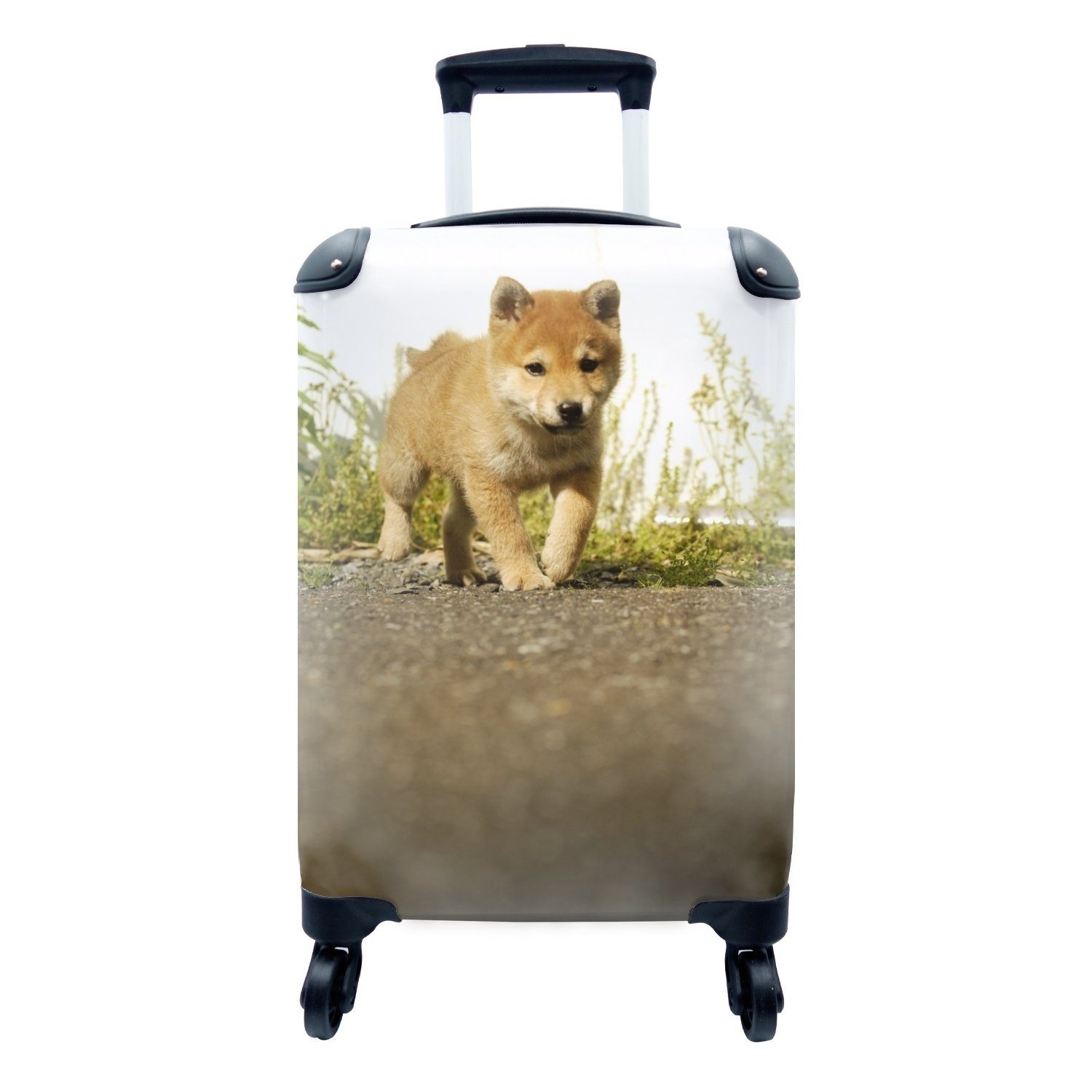 MuchoWow Handgepäckkoffer Shiba Inu-Welpe auf der Straße, 4 Rollen, Reisetasche mit rollen, Handgepäck für Ferien, Trolley, Reisekoffer