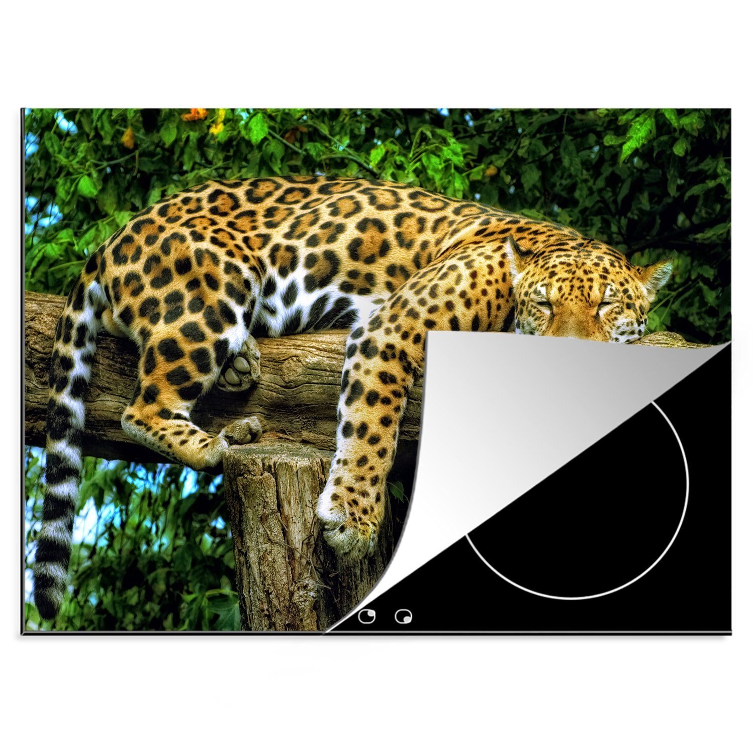 MuchoWow Herdblende-/Abdeckplatte Tiere - Tropisch - Jaguar, Vinyl, (1 tlg), 70x52 cm, Mobile Arbeitsfläche nutzbar, Ceranfeldabdeckung