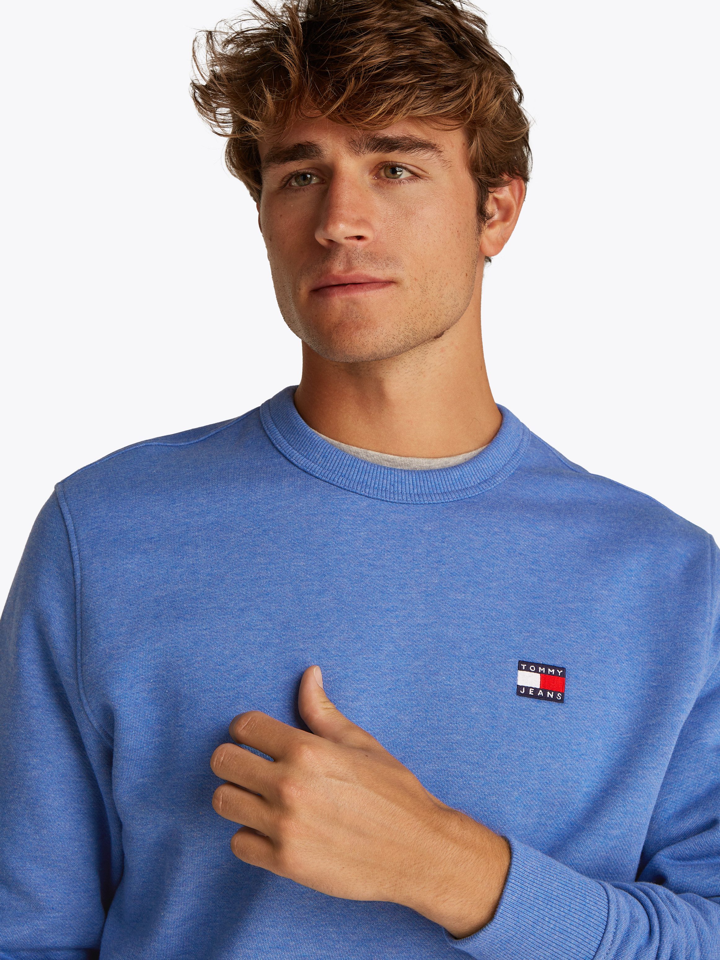Tommy Jeans Sweatshirt TJM REG BADGE günstig online kaufen