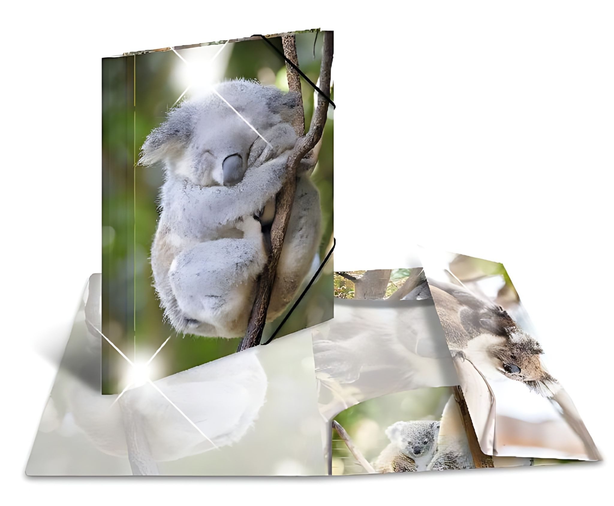 HERMA Organisationsmappe Herma Sammelmappe Eckspanner PP A4 Glossy Koala