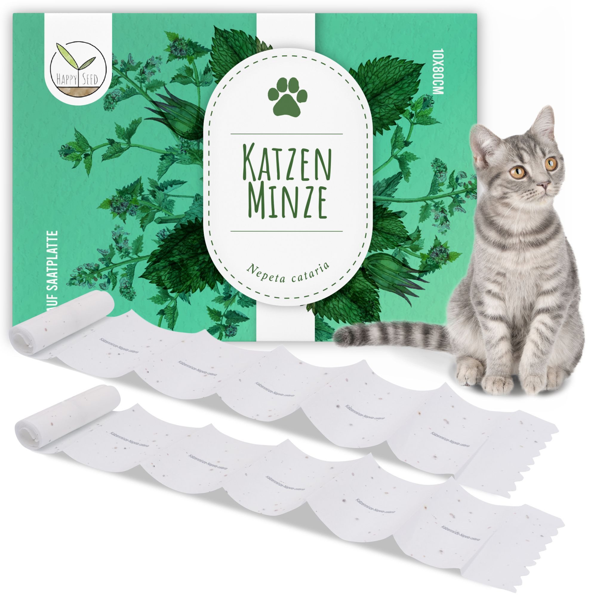 HappySeed Blumensamen Katzenminze Samen Saatband 80 x 10 cm - Nepeta cataria, Saatgut