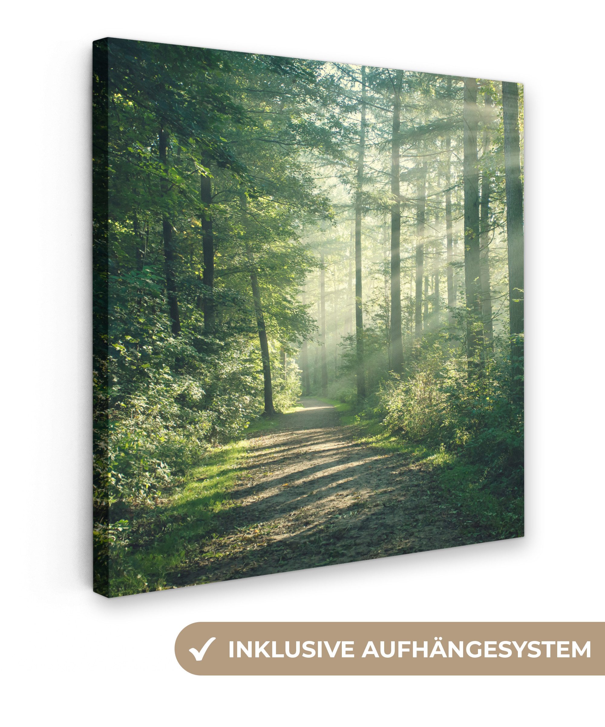 OneMillionCanvasses® Leinwandbild Wald - Weg - Sonne - Bäume - Grün - Natur günstig online kaufen