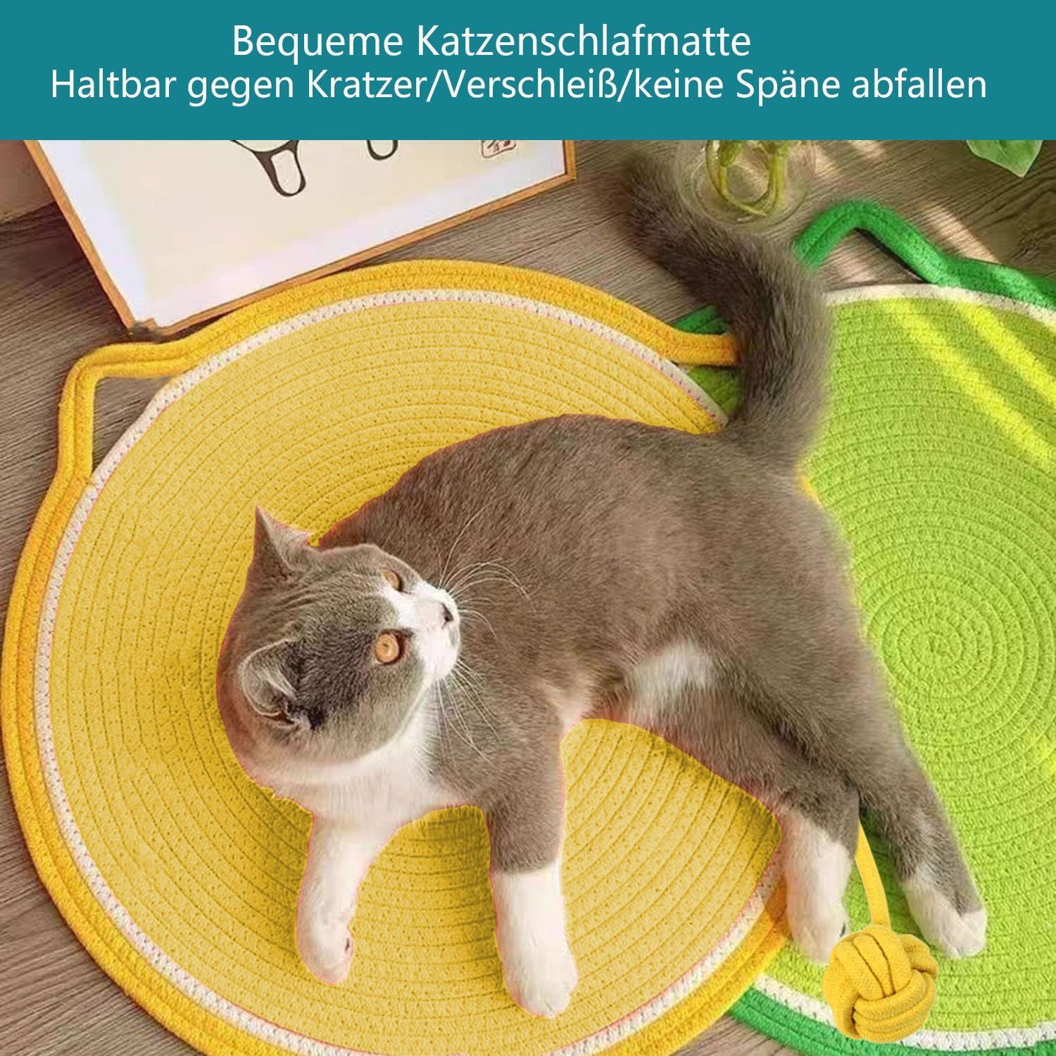 Beaface Kratzmatte mit Baumwollkugel Spielzeug & günstig online kaufen