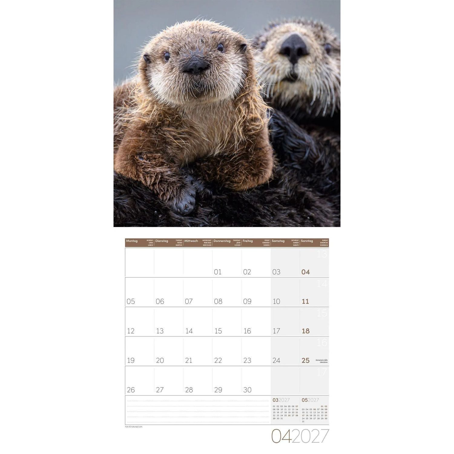 Ackermann Wandkalender Otter Kalender 2027 - 30x30 - Art12 – Bild 5 von 5