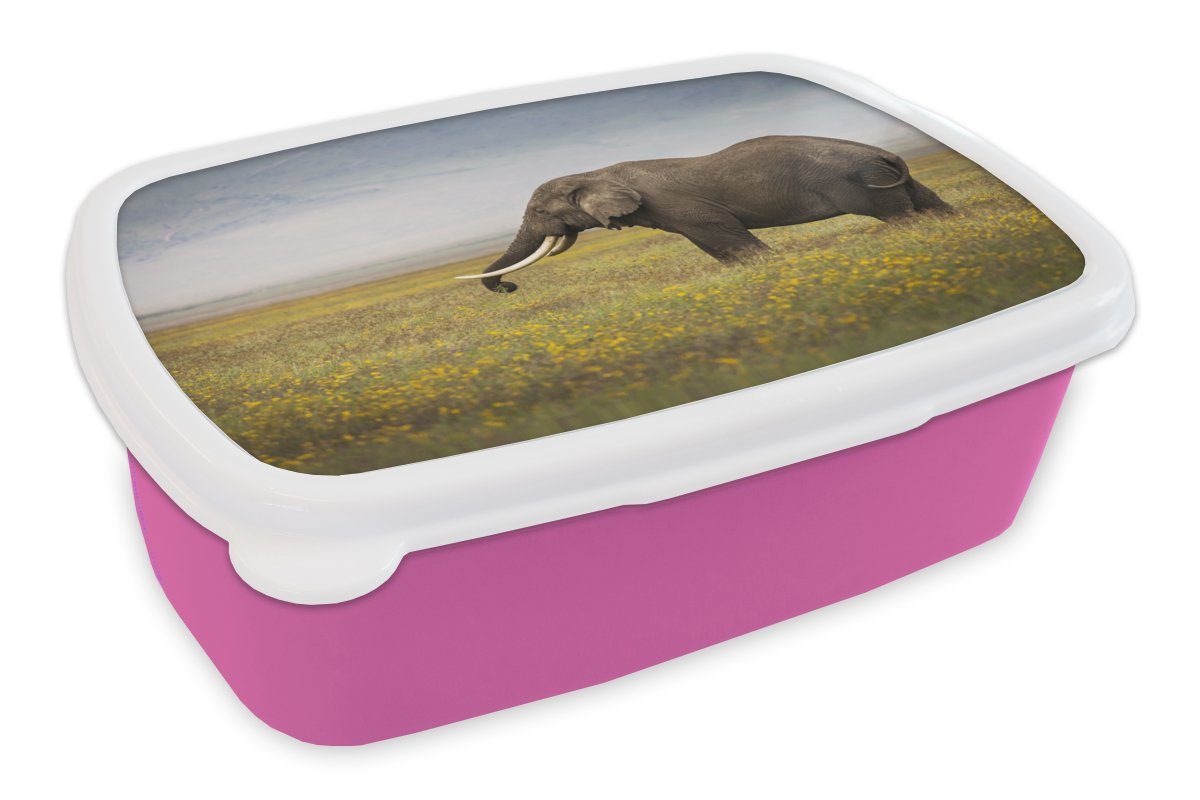 MuchoWow Lunchbox Elefant - Tiere - Blumen - Gras - Natur, Kunststoff, (2-tlg), Brotbox für Erwachsene, Brotdose Kinder, Snackbox, Mädchen, Kunststoff rosa | Lunchboxen