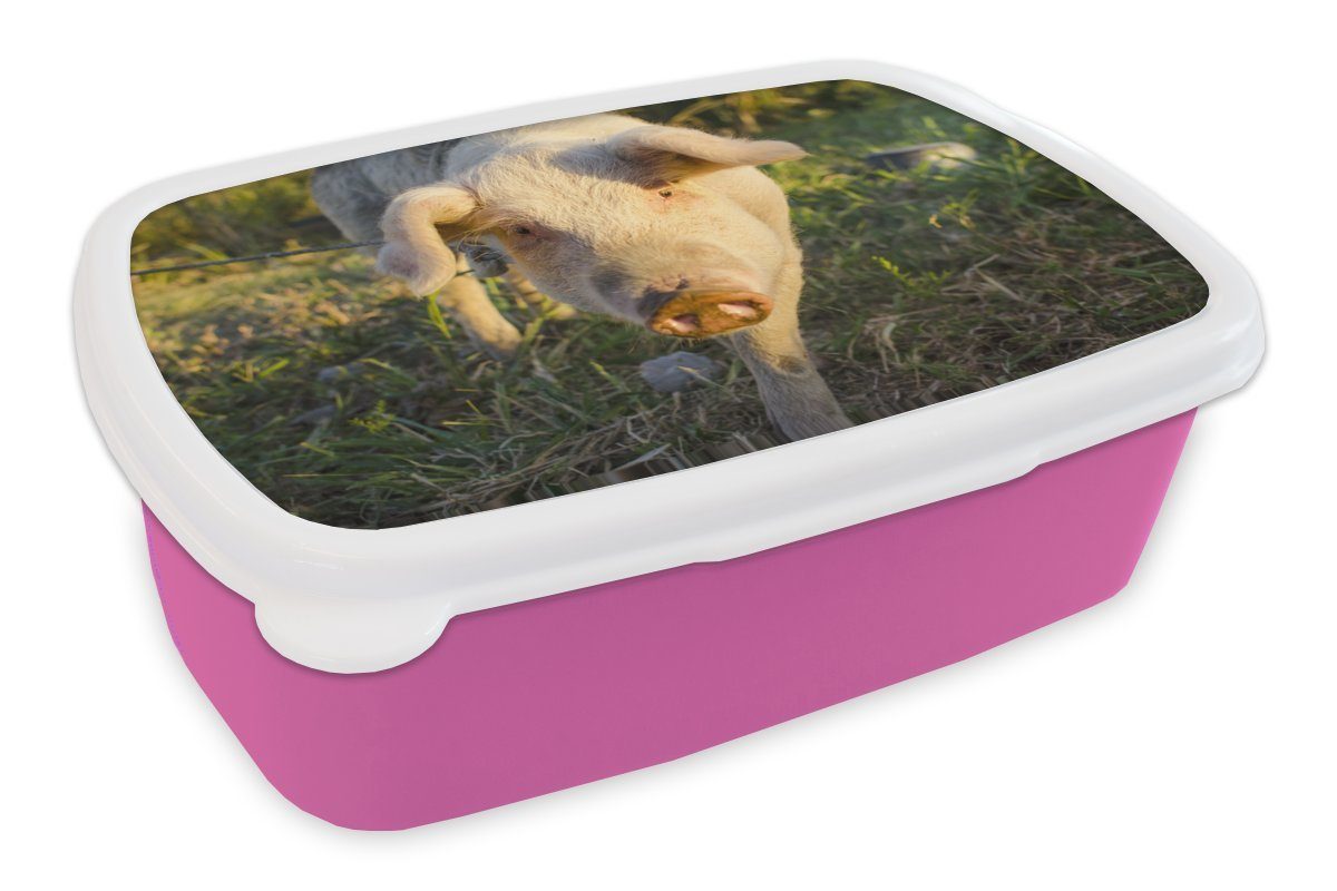 MuchoWow Lunchbox Spiel - Schwein - Sonnenuntergang, Kunststoff, (2-tlg), Brotbox für Erwachsene, Brotdose Kinder, Snackbox, Mädchen, Kunststoff rosa