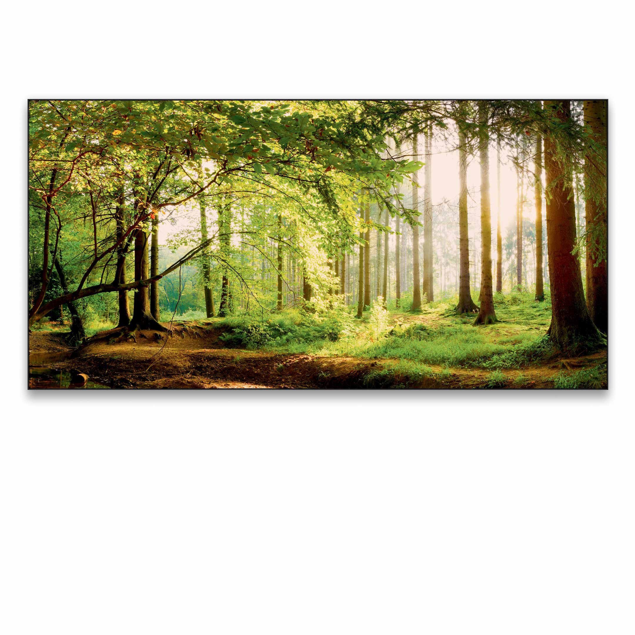 Akustikbild-Manufaktur Bild mit Rahmen Schallabsorber 140x70x5 cm, "Wald 5 Panorama" (Motiv wechselbar), Schallschutzbild mit sehr guten Schallabsorptions-Eigenschaften